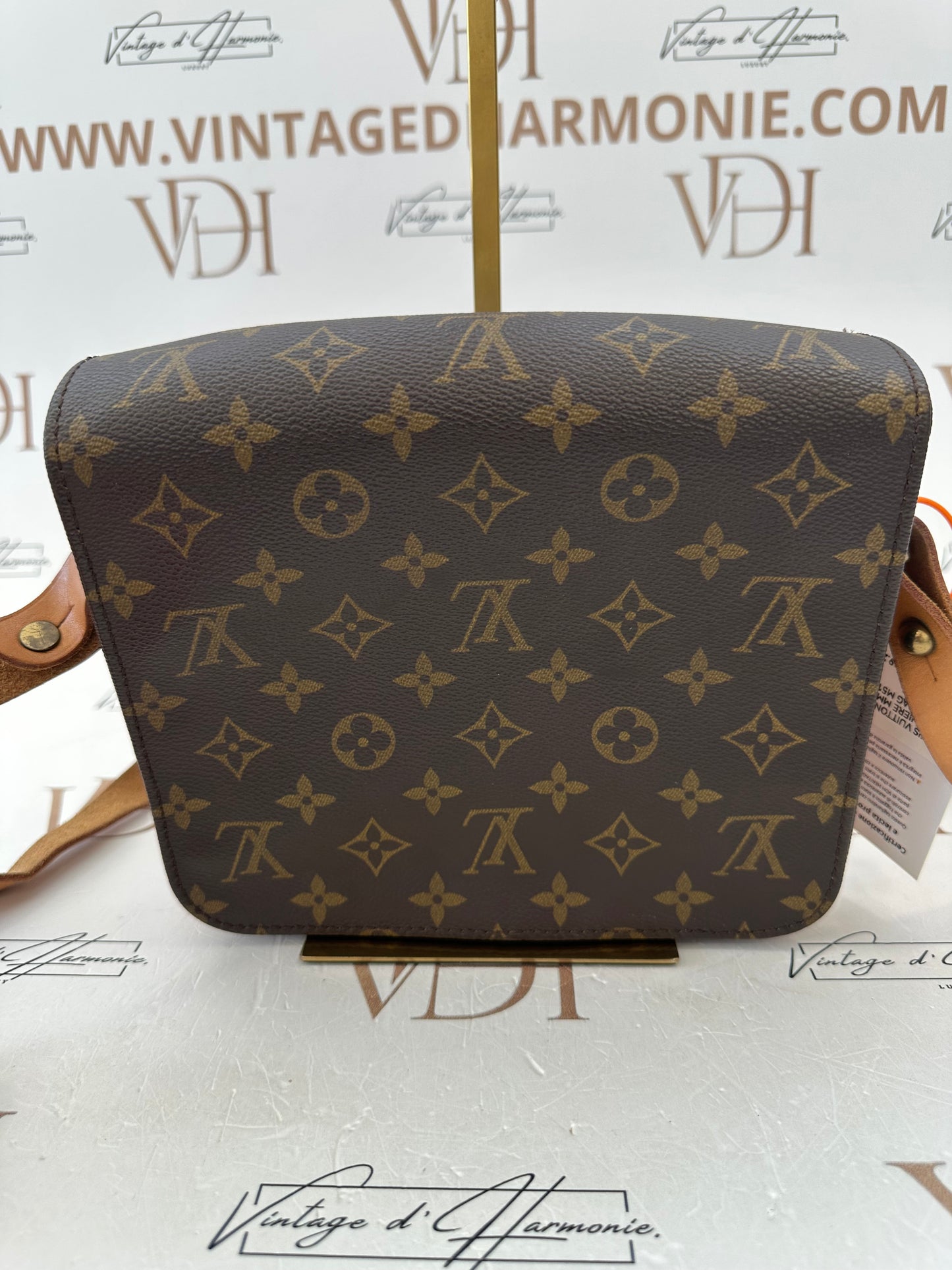 017827 - Louis Vuitton Cartouchiere MM