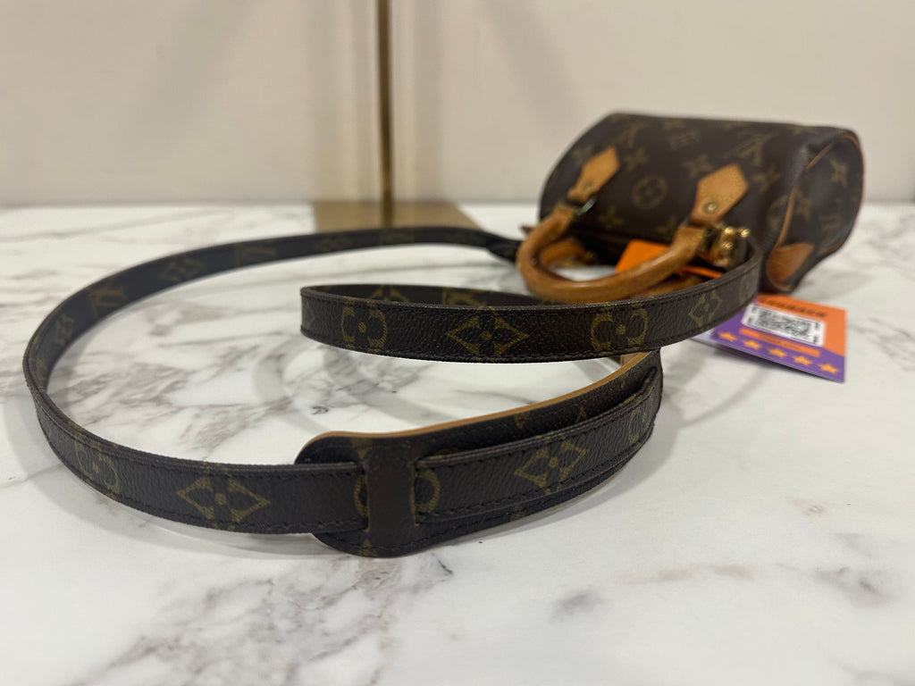 Louis Vuitton Mini Speedy