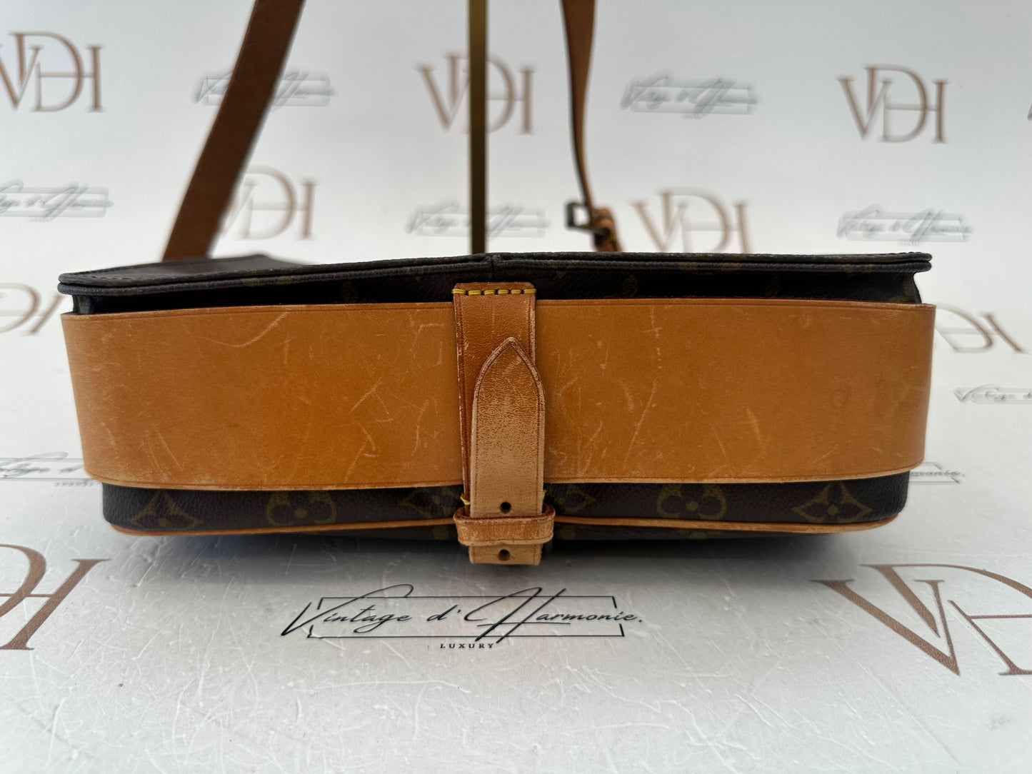 017925 - Louis Vuitton Cartouchiere