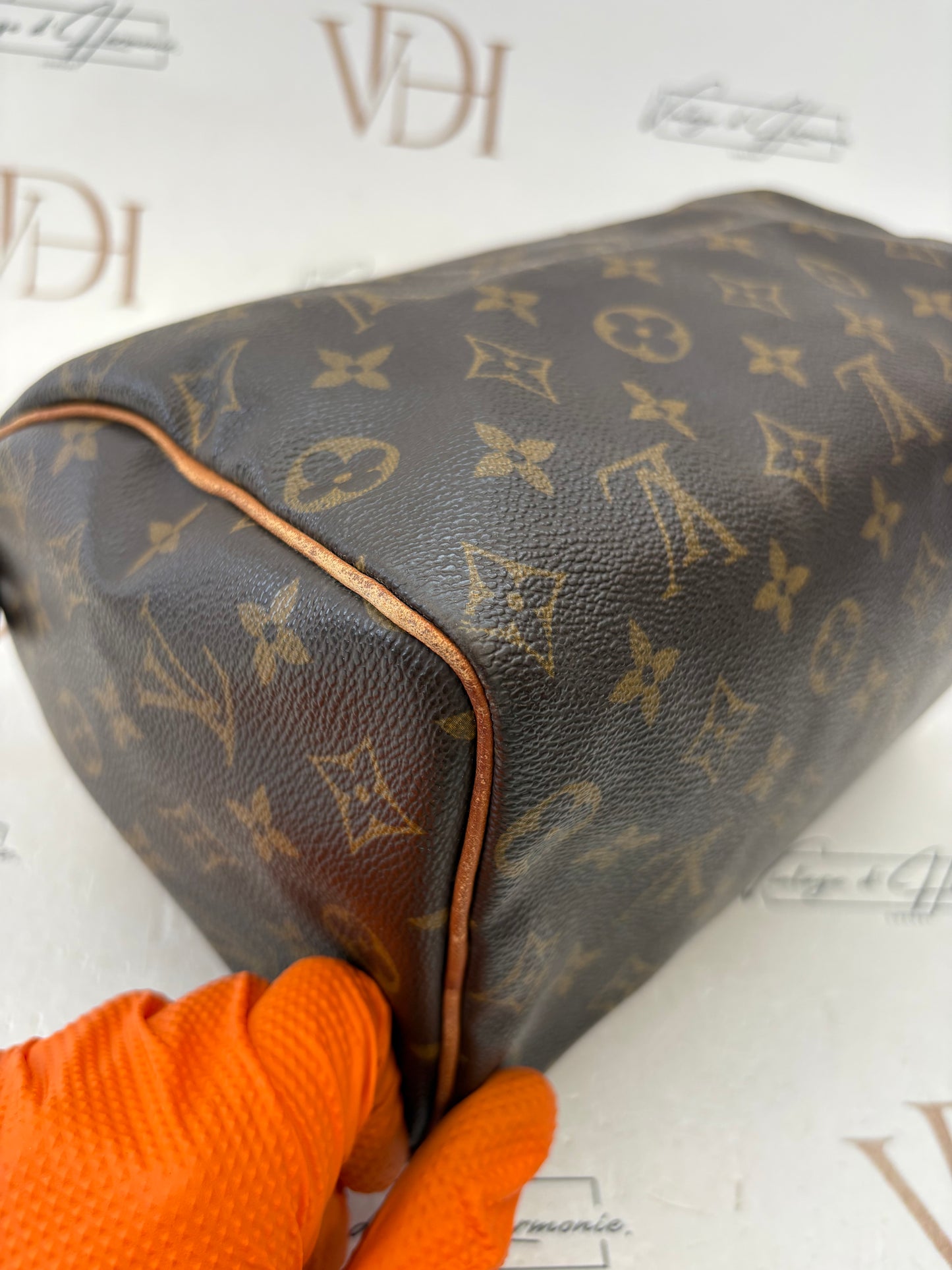 018758 - Louis Vuitton Speedy 25