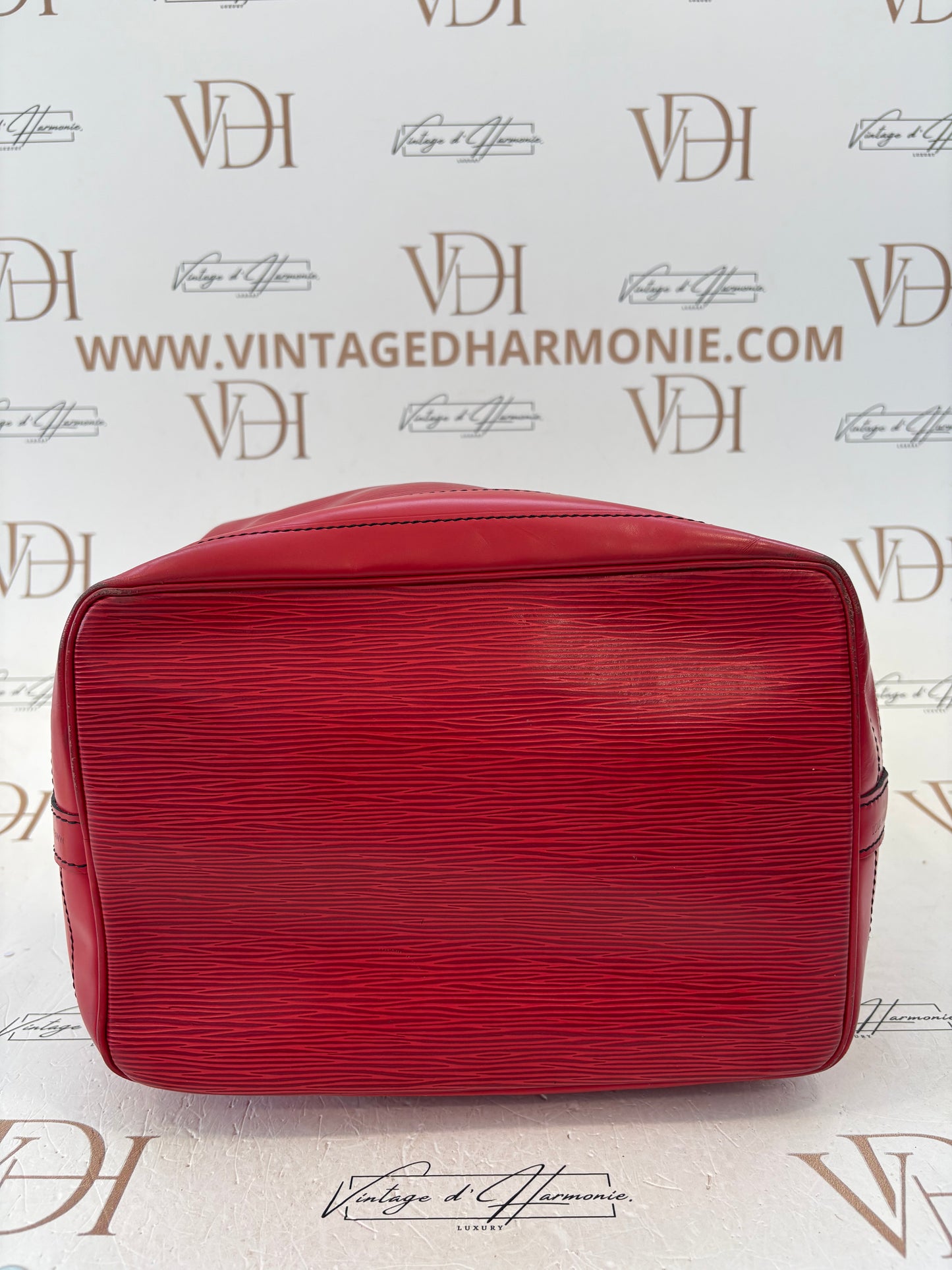 016957 - Louis Vuitton Noé Epi