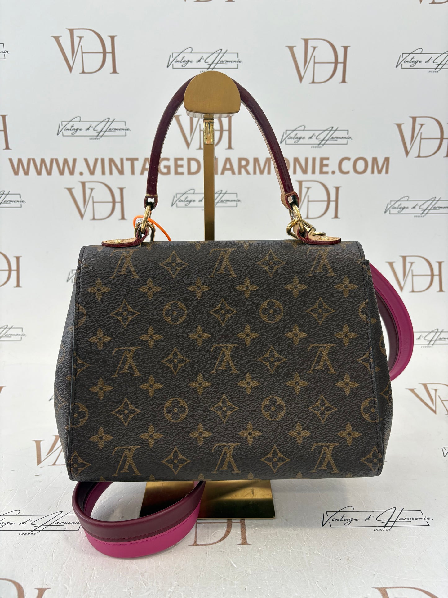 200978 - Louis Vuitton Cluny