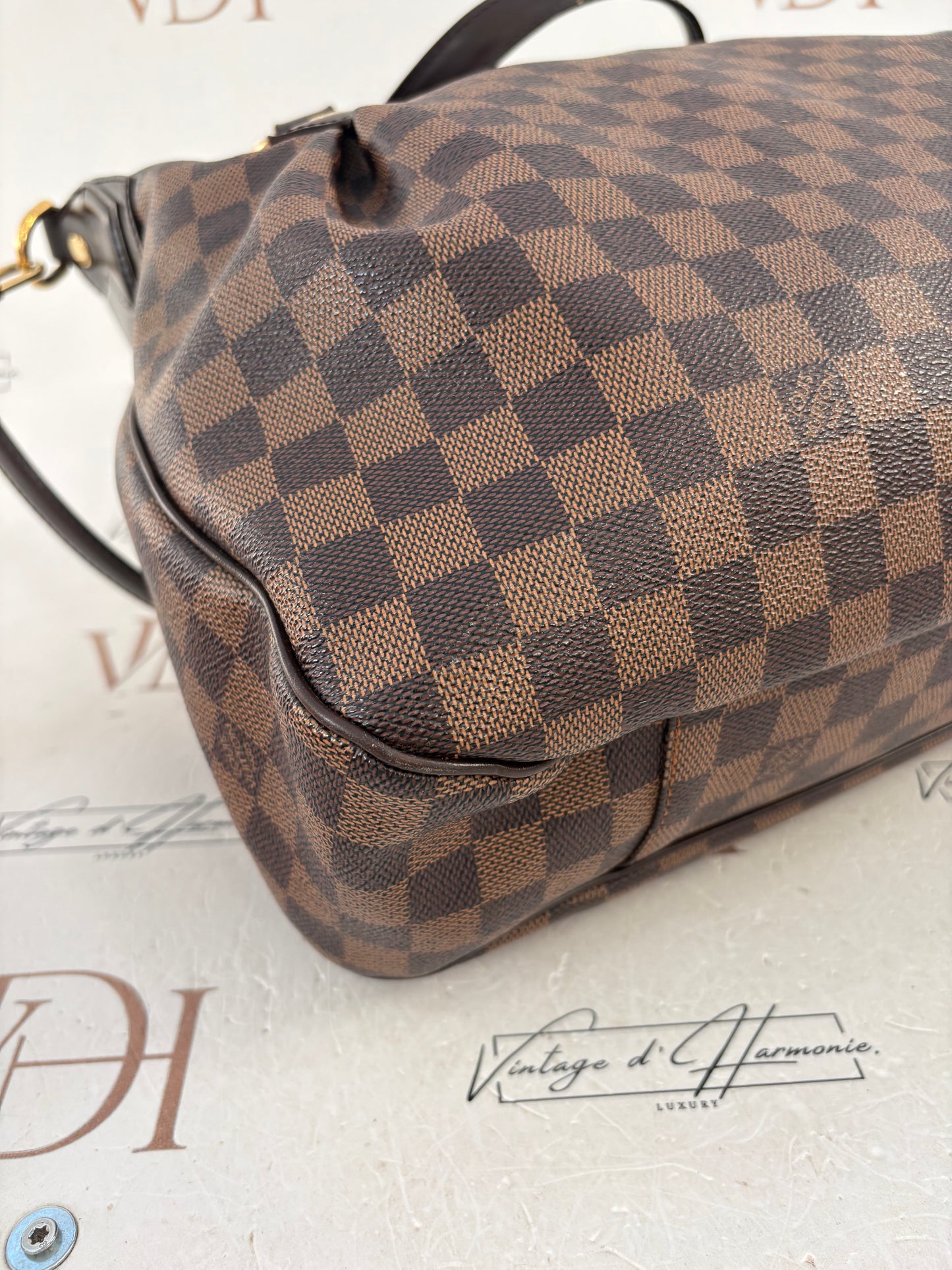 018528 - Louis Vuitton Damier Evora MM