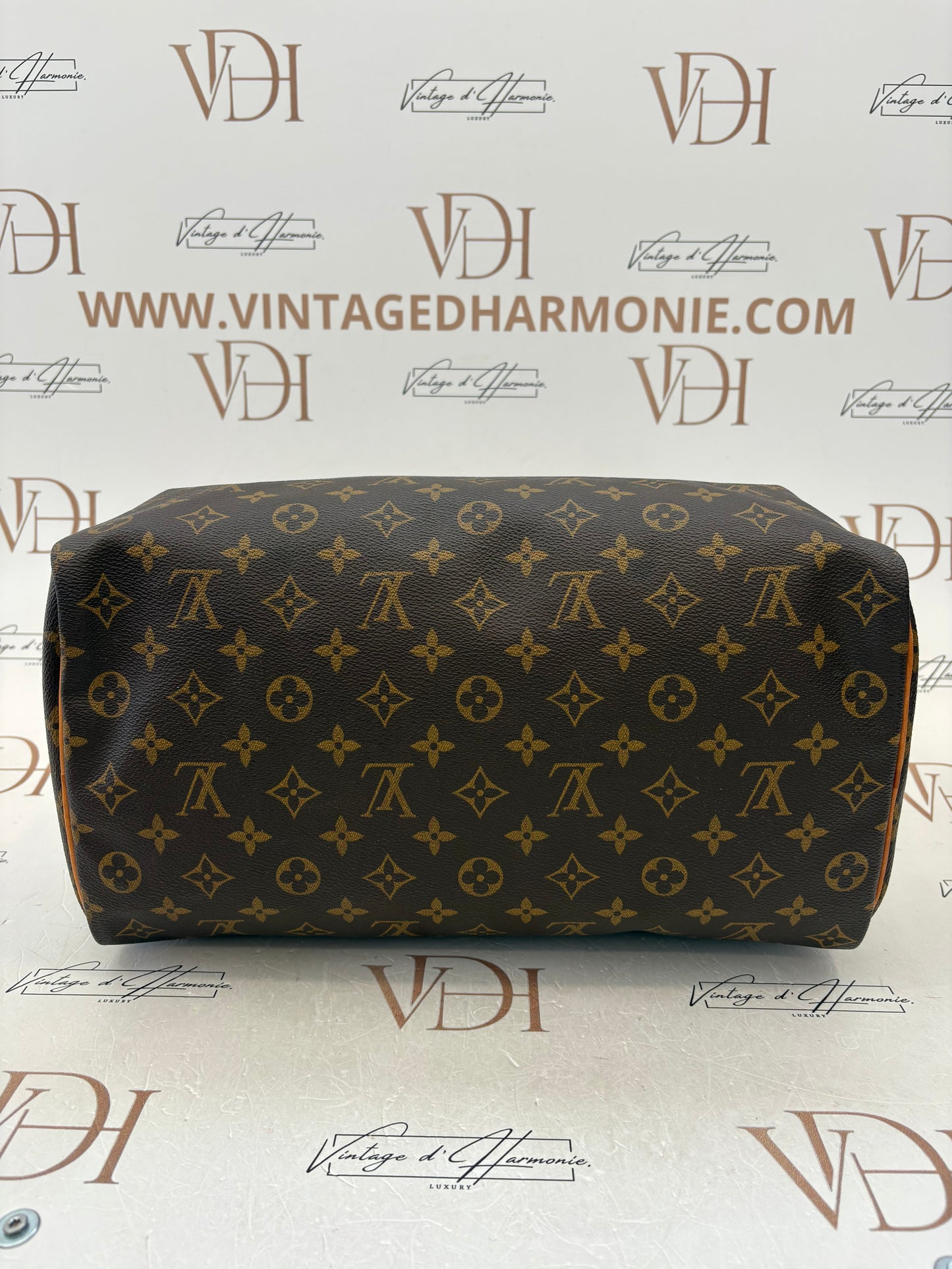 017703 - Louis Vuitton Speedy 35