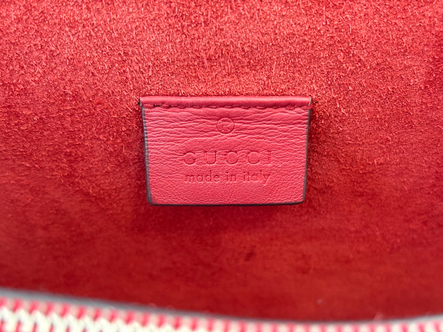 200983 - Gucci Dionysus