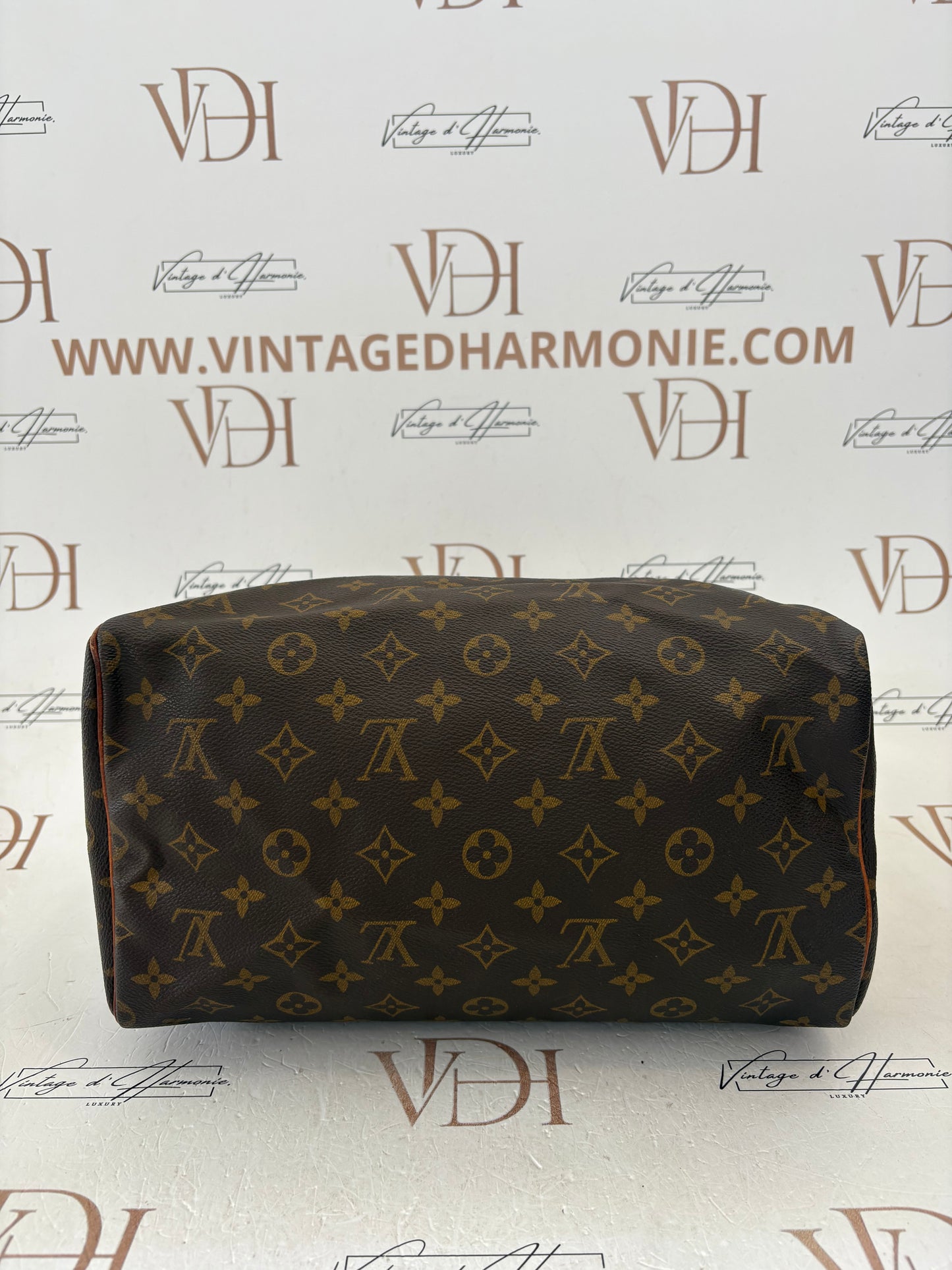 017314 - Louis Vuitton Speedy 30