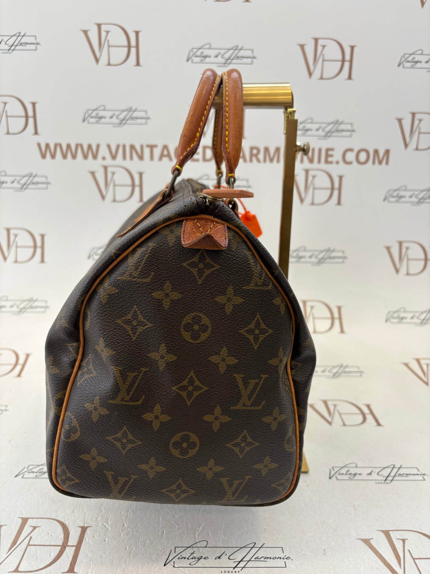 018801 - Louis Vuitton Speedy 30