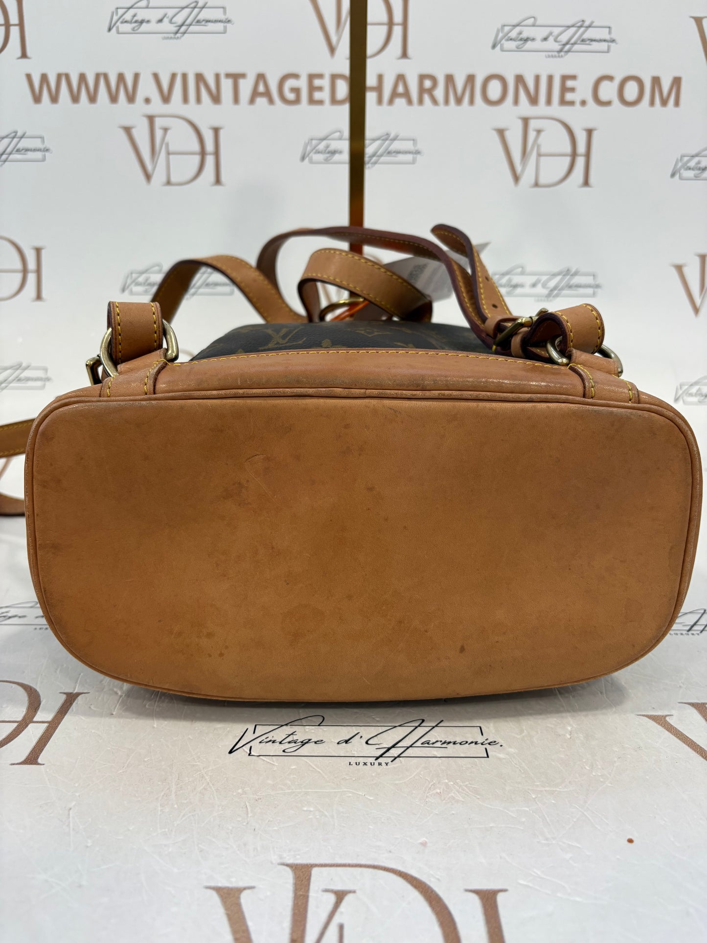 017658 - Louis Vuitton Montsouris MM