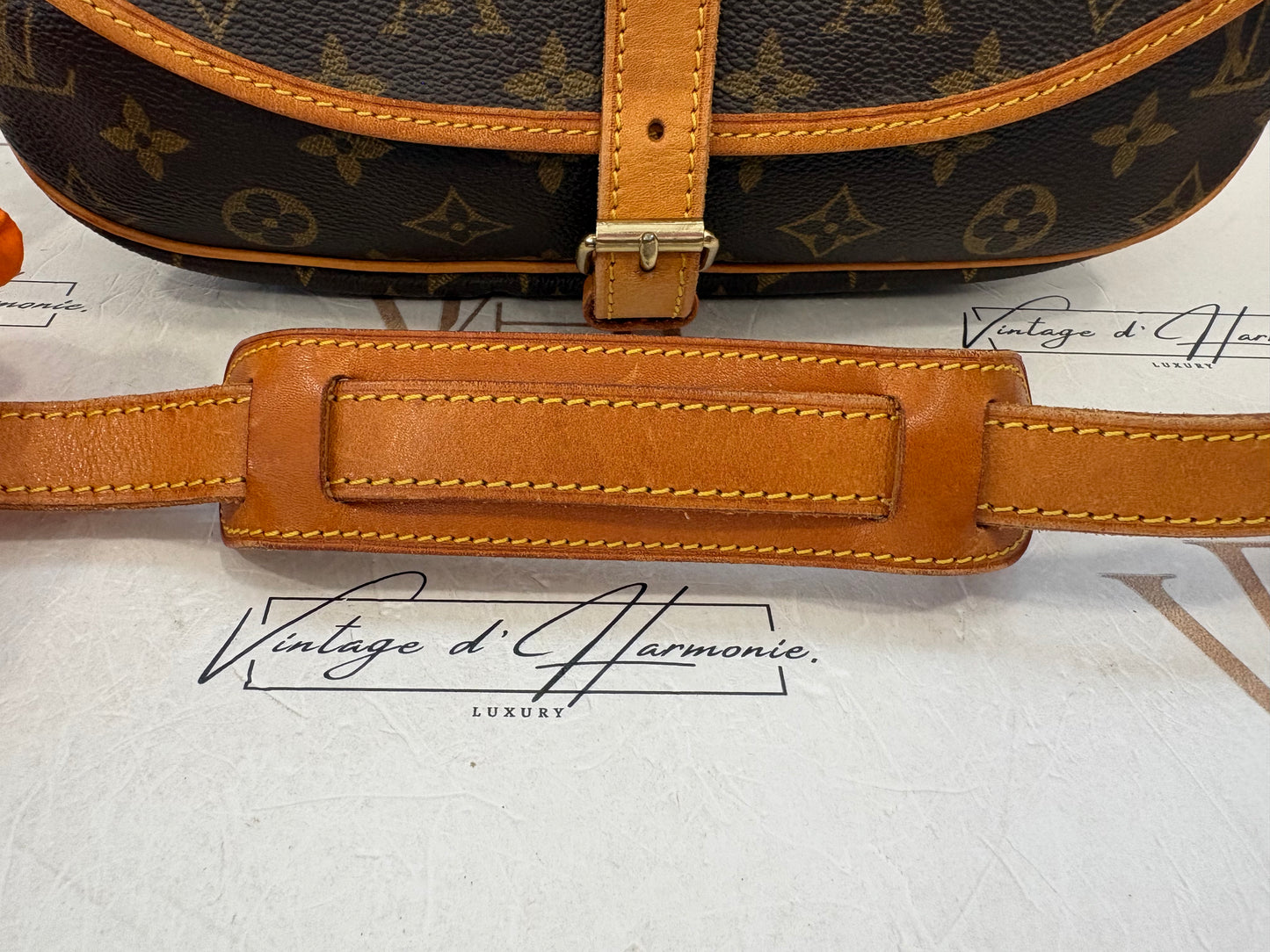017643 - Louis Vuitton Saumur 30