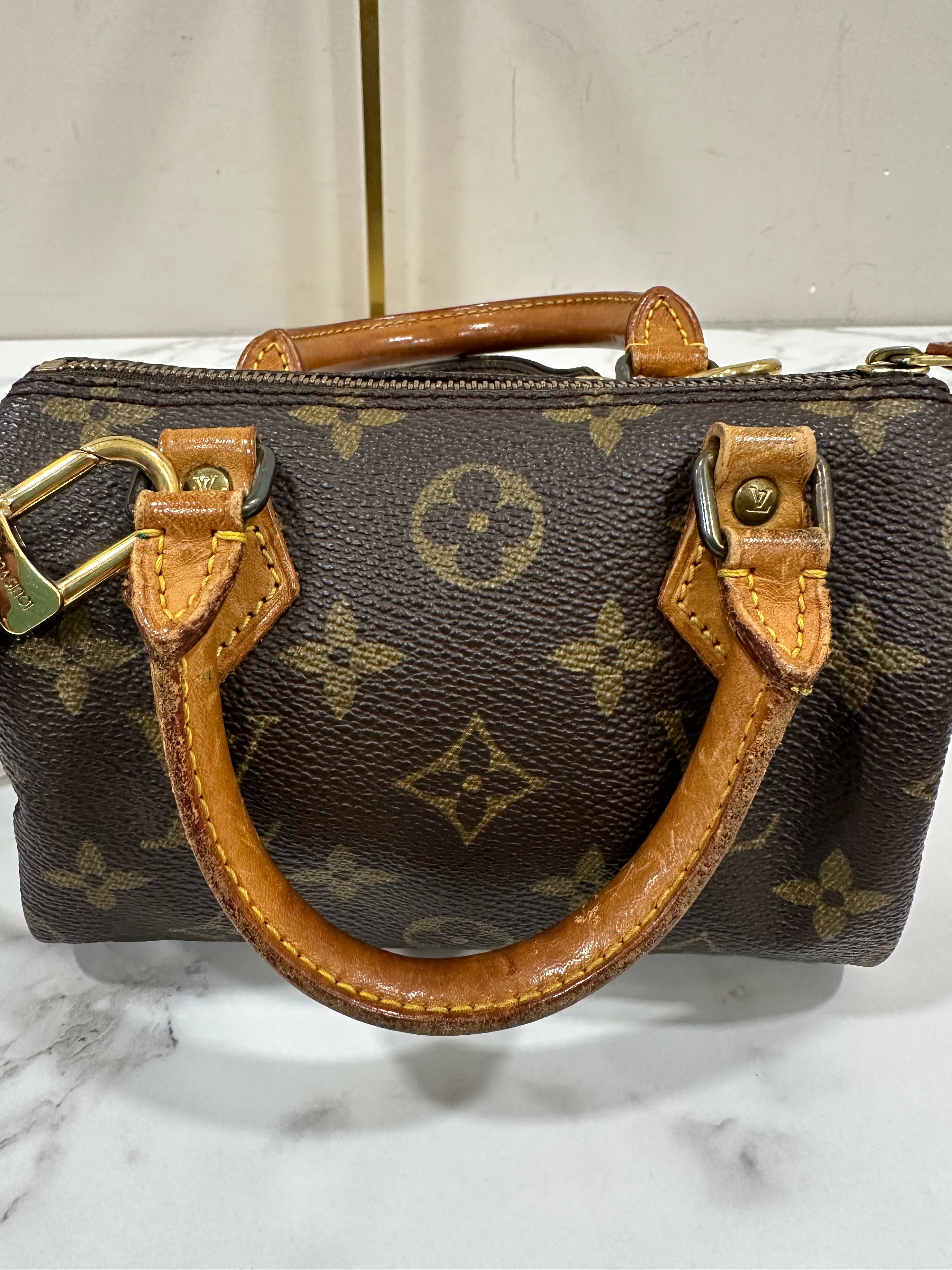 Louis Vuitton Mini Speedy