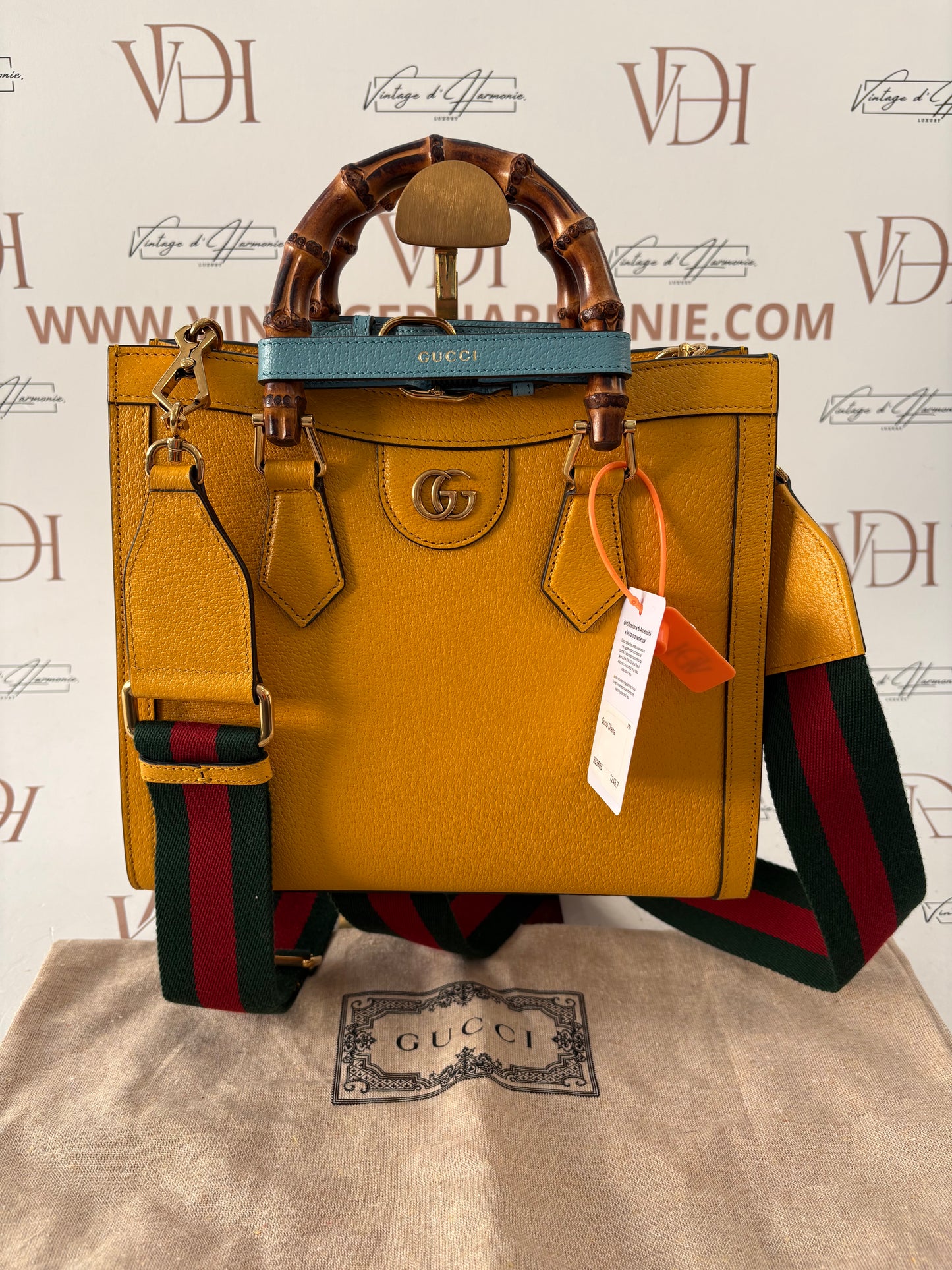 383585 - Gucci Diana