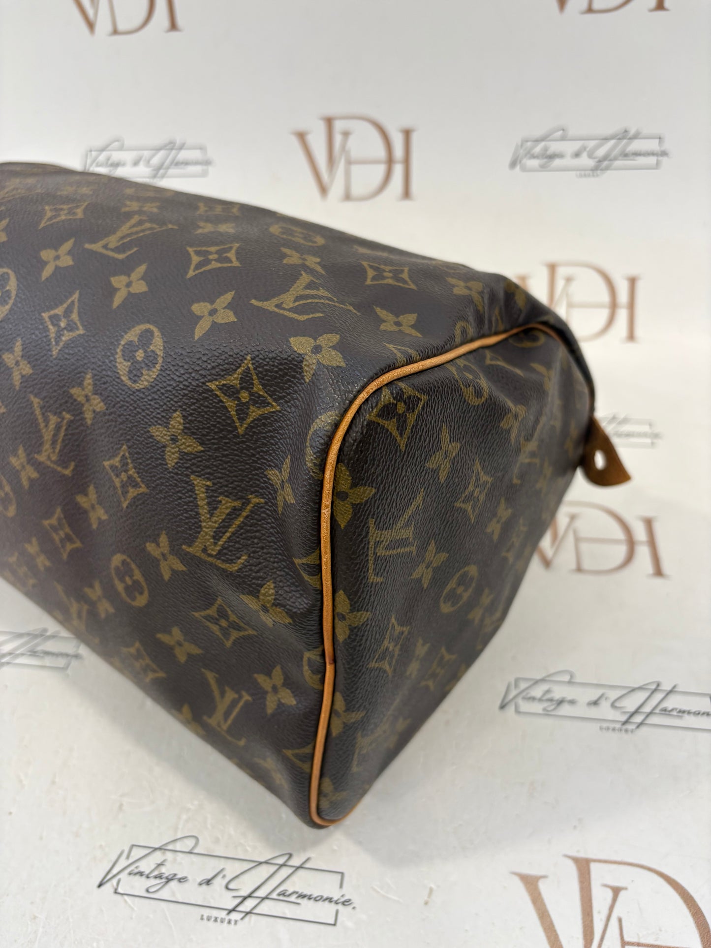 018251 - Louis Vuitton Speedy 30