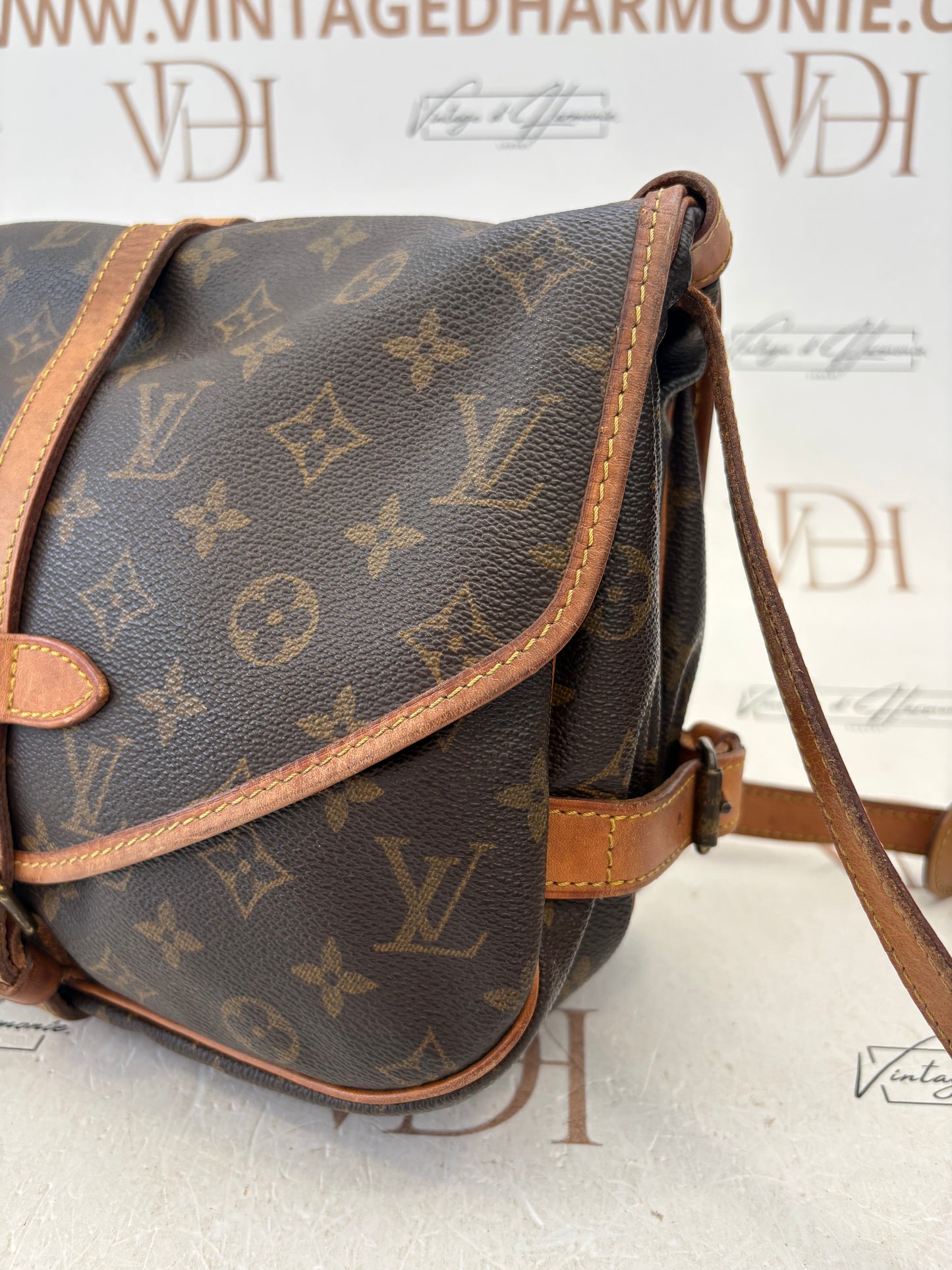 016959 - Louis Vuitton Saumur 30