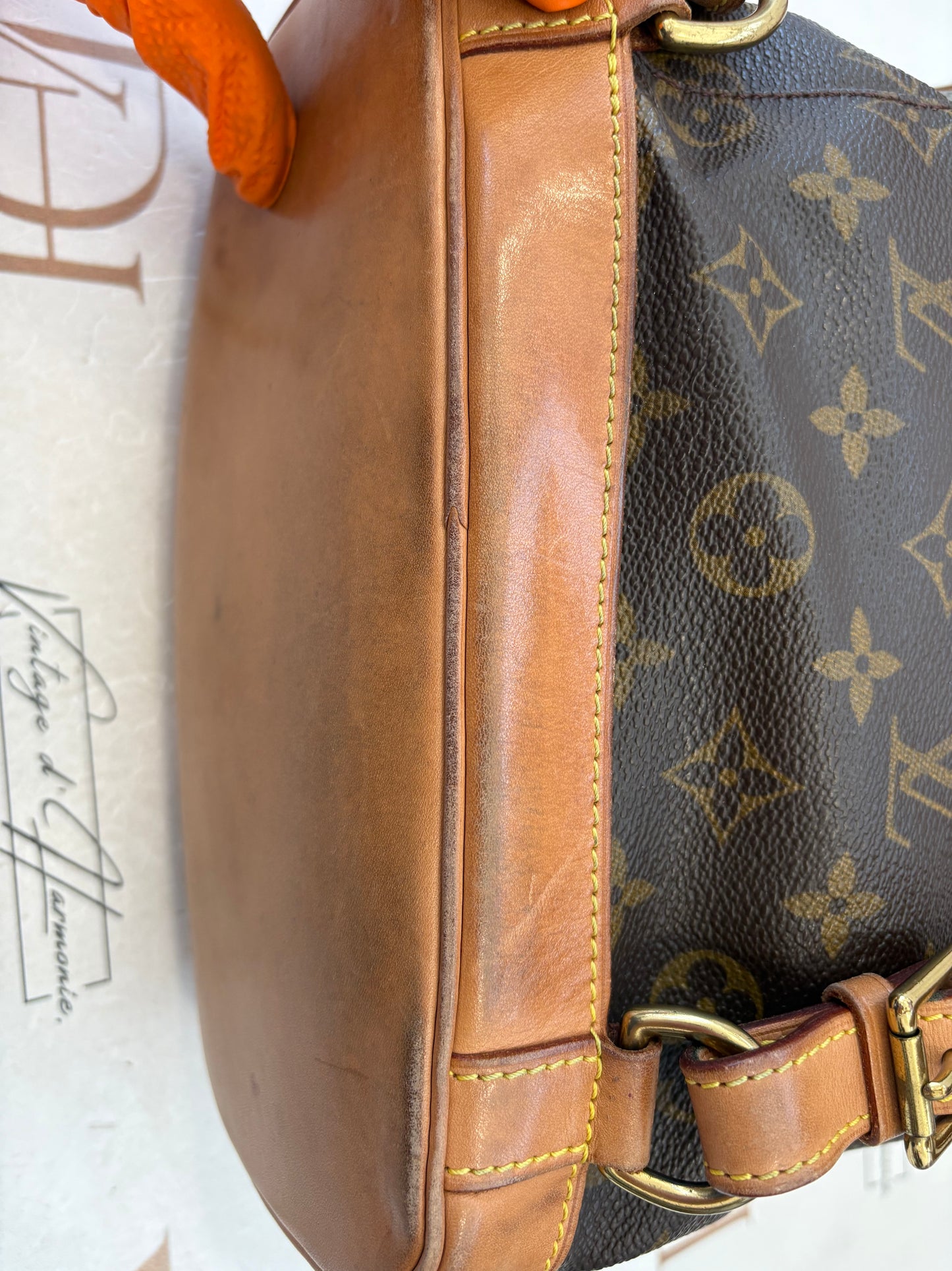 018897 - Louis Vuitton Montsouris MM
