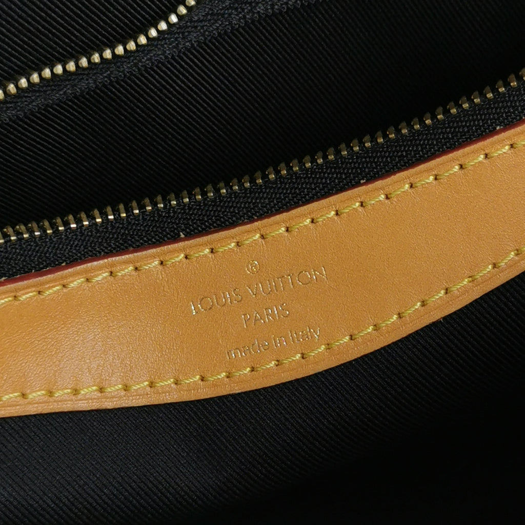 Louis Vuitton (LV) Diane