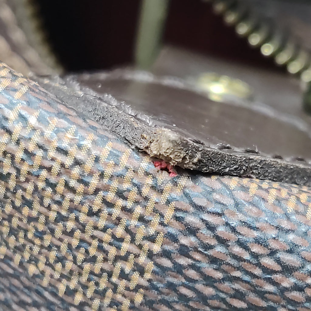 Louis Vuitton （LV） Speedy35