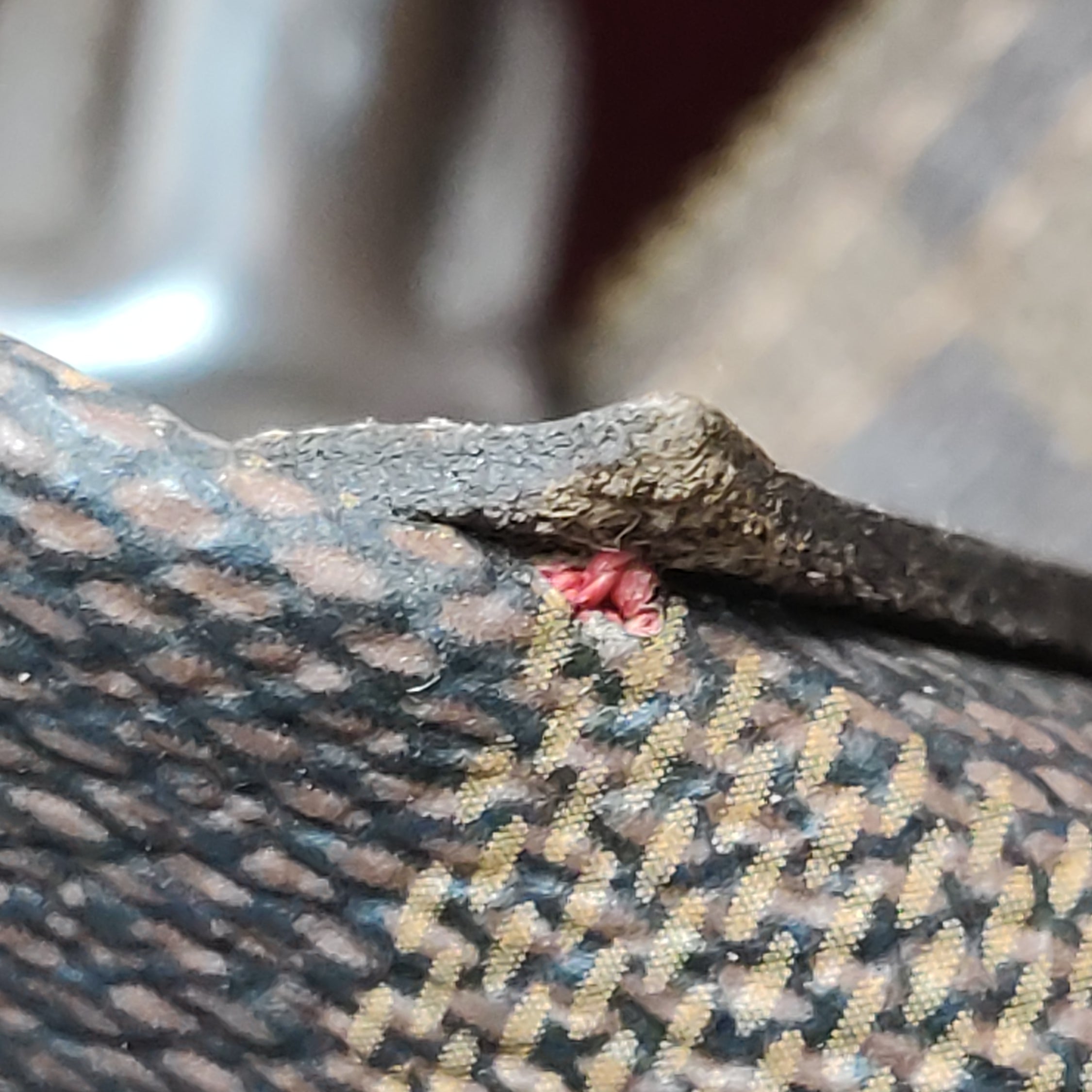 Louis Vuitton （LV） Speedy35