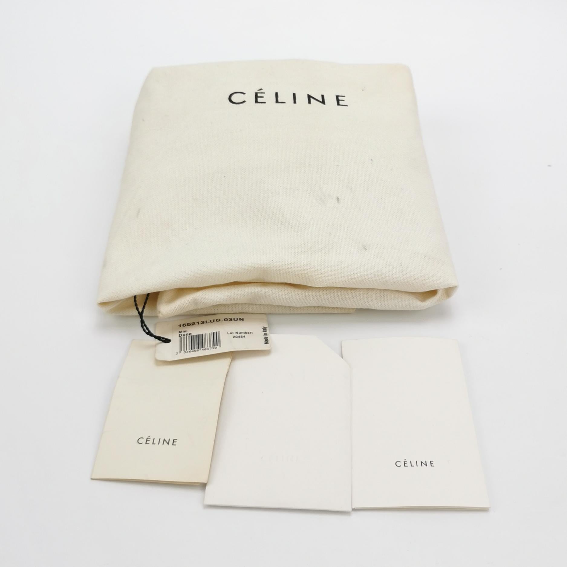 Celine Luggage