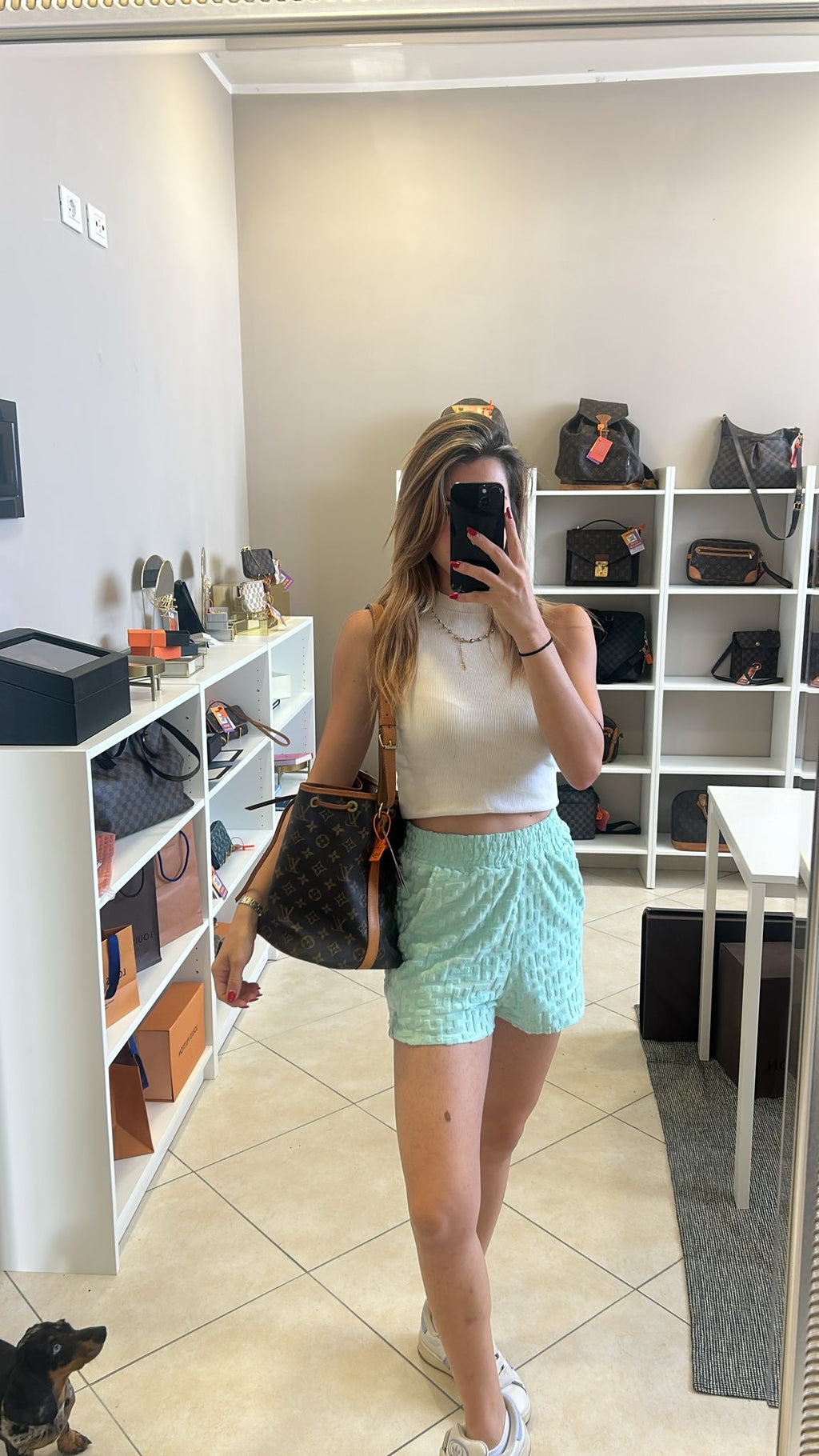 Louis Vuitton Petite Noé