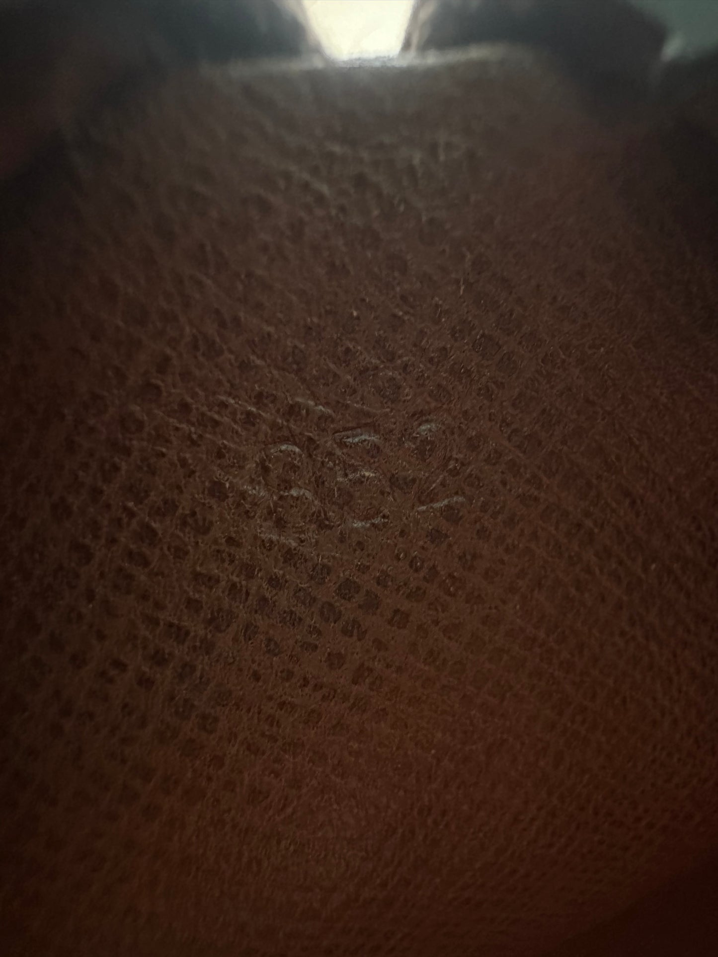 Louis Vuitton Papillon 26