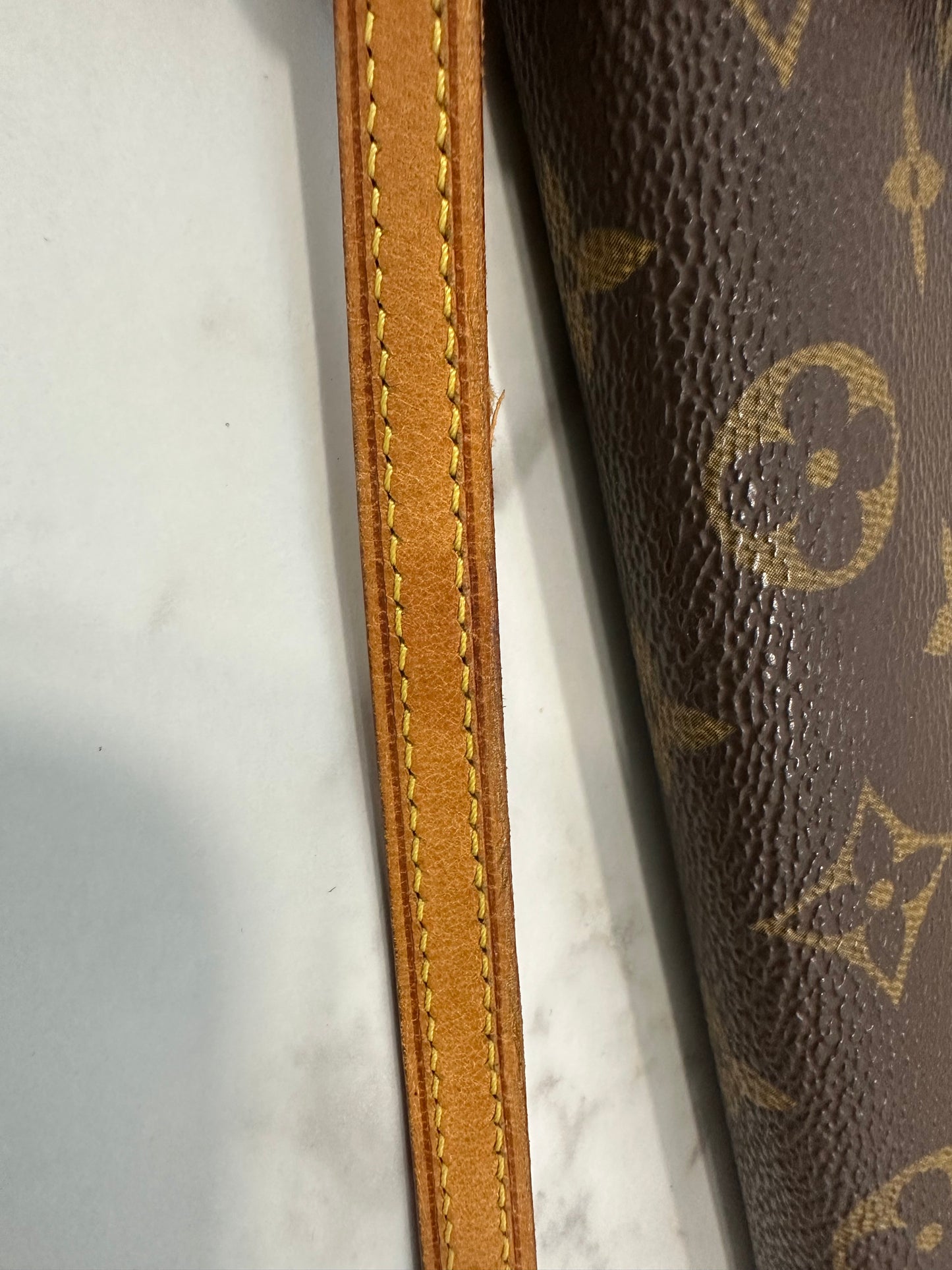 Louis Vuitton Pochette Twin GM