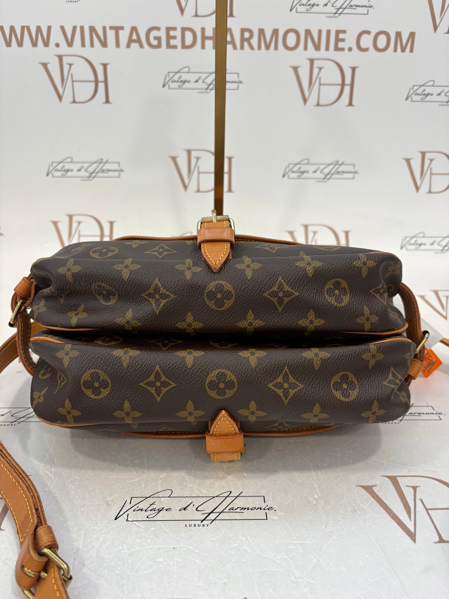 017643 - Louis Vuitton Saumur 30