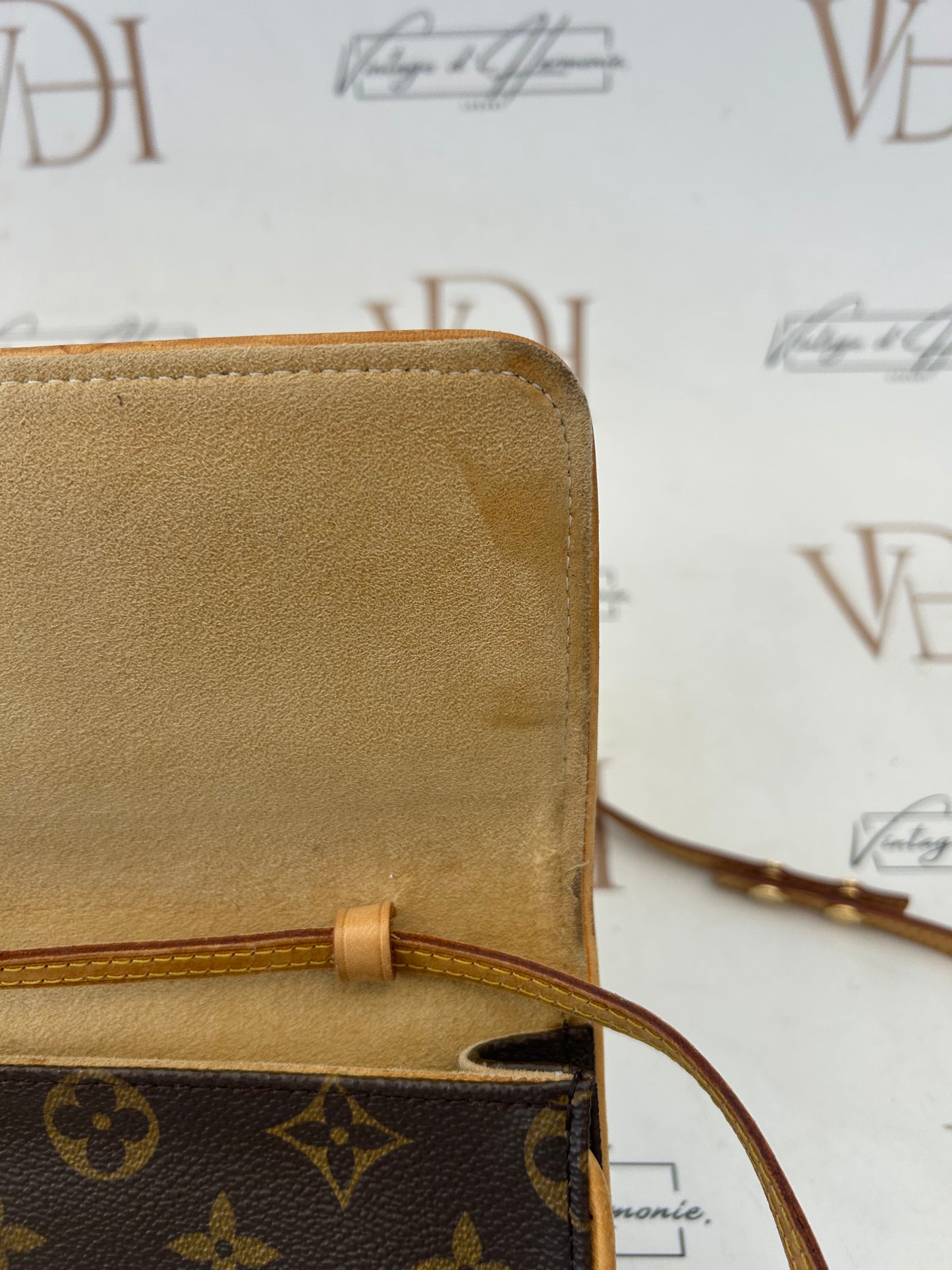 017225 - Louis Vuitton Twin GM