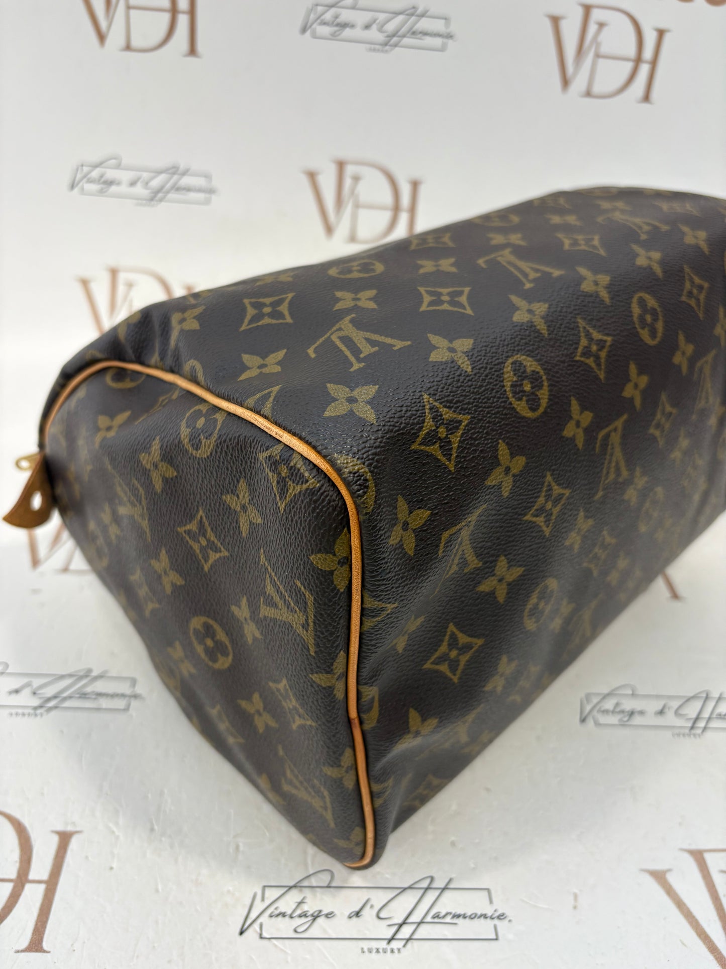 018251 - Louis Vuitton Speedy 30