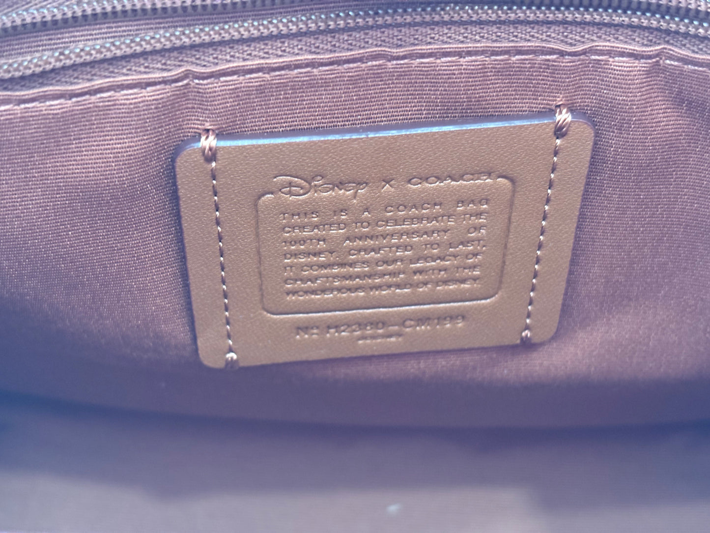 382695 - Coach Disney