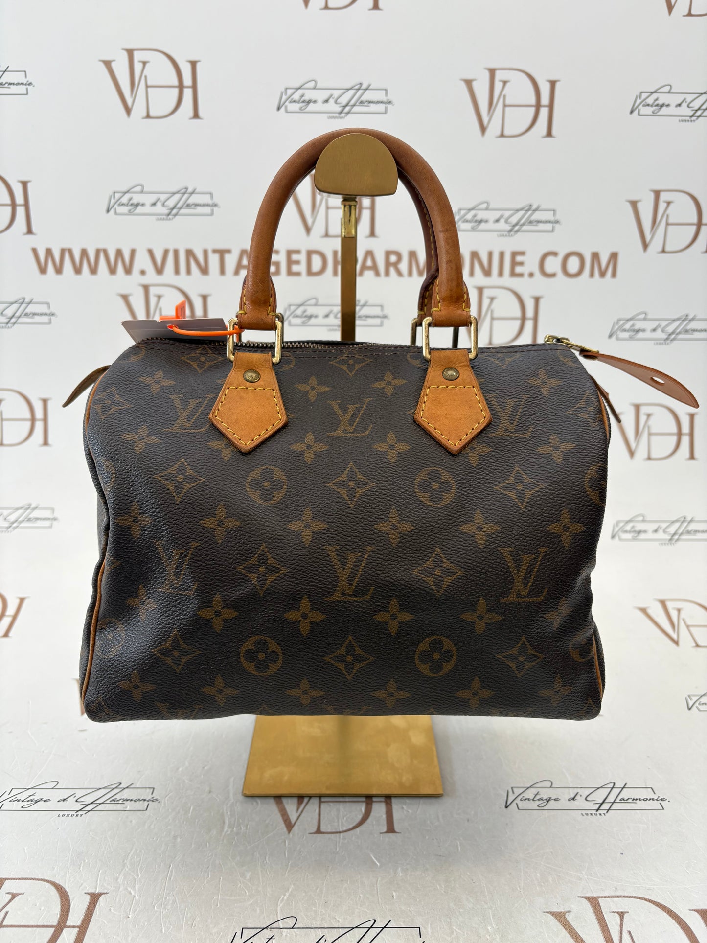 017738 - Louis Vuitton Speedy 25