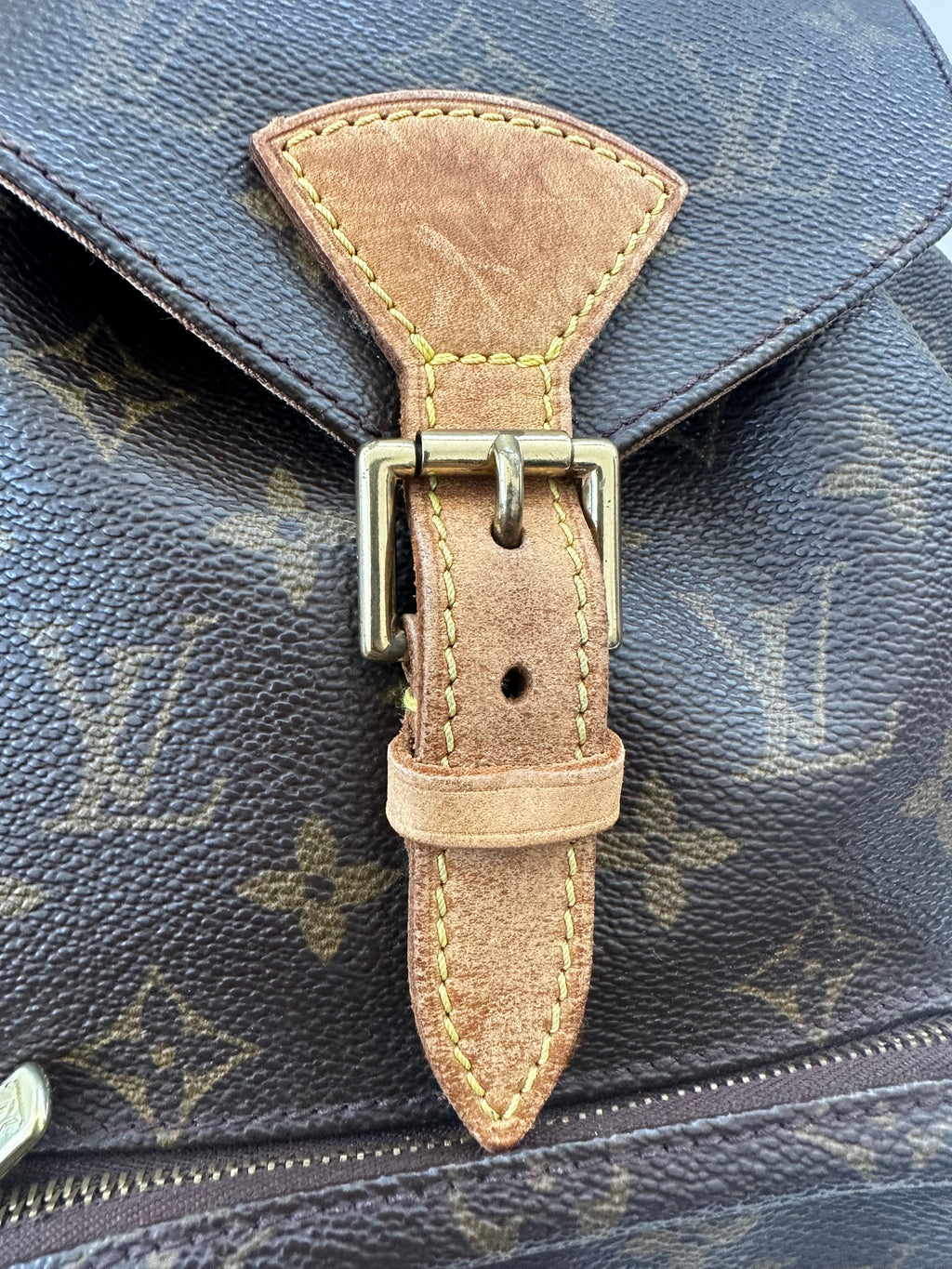 Louis Vuitton Montsouris MM