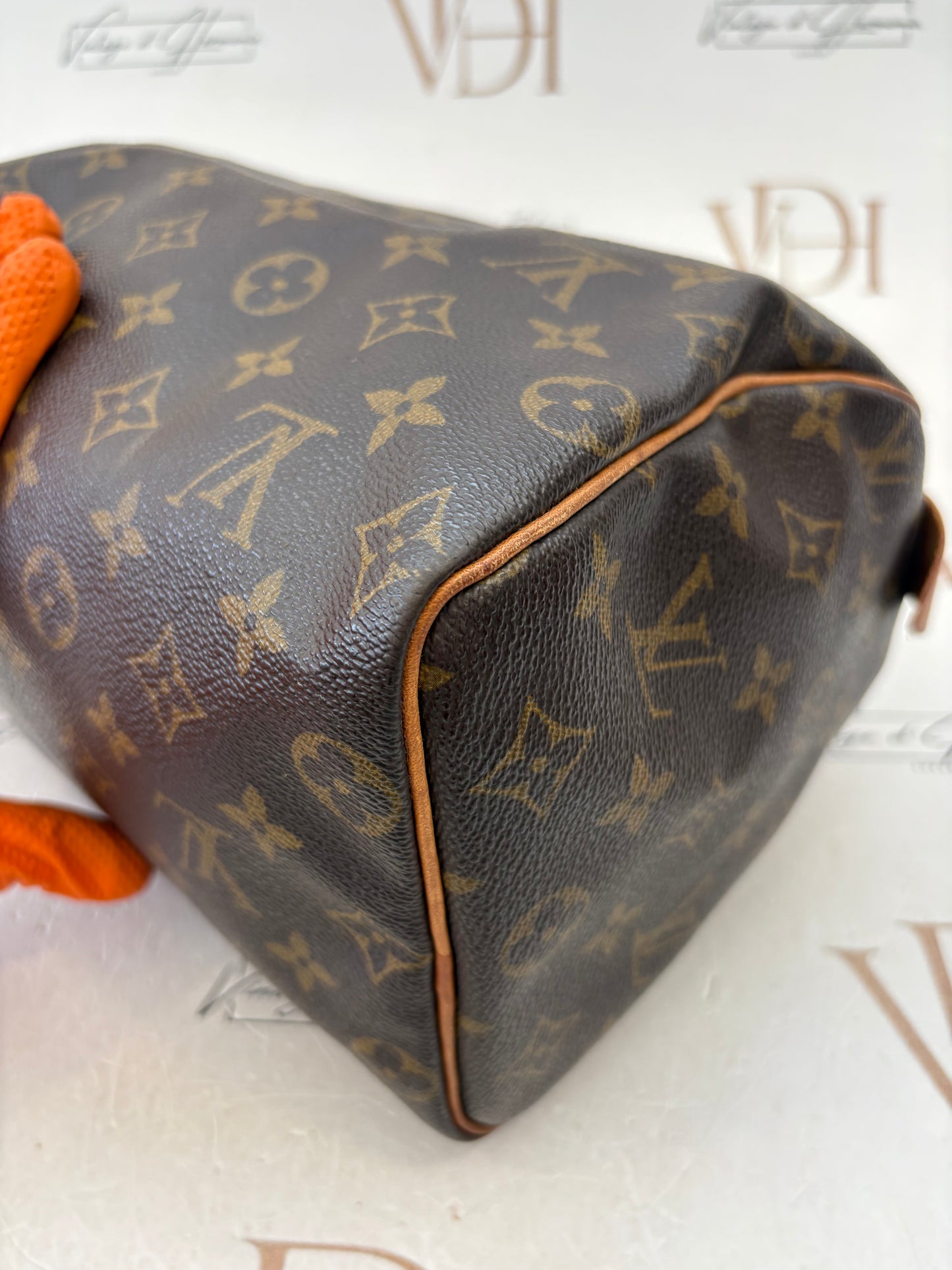 018758 - Louis Vuitton Speedy 25