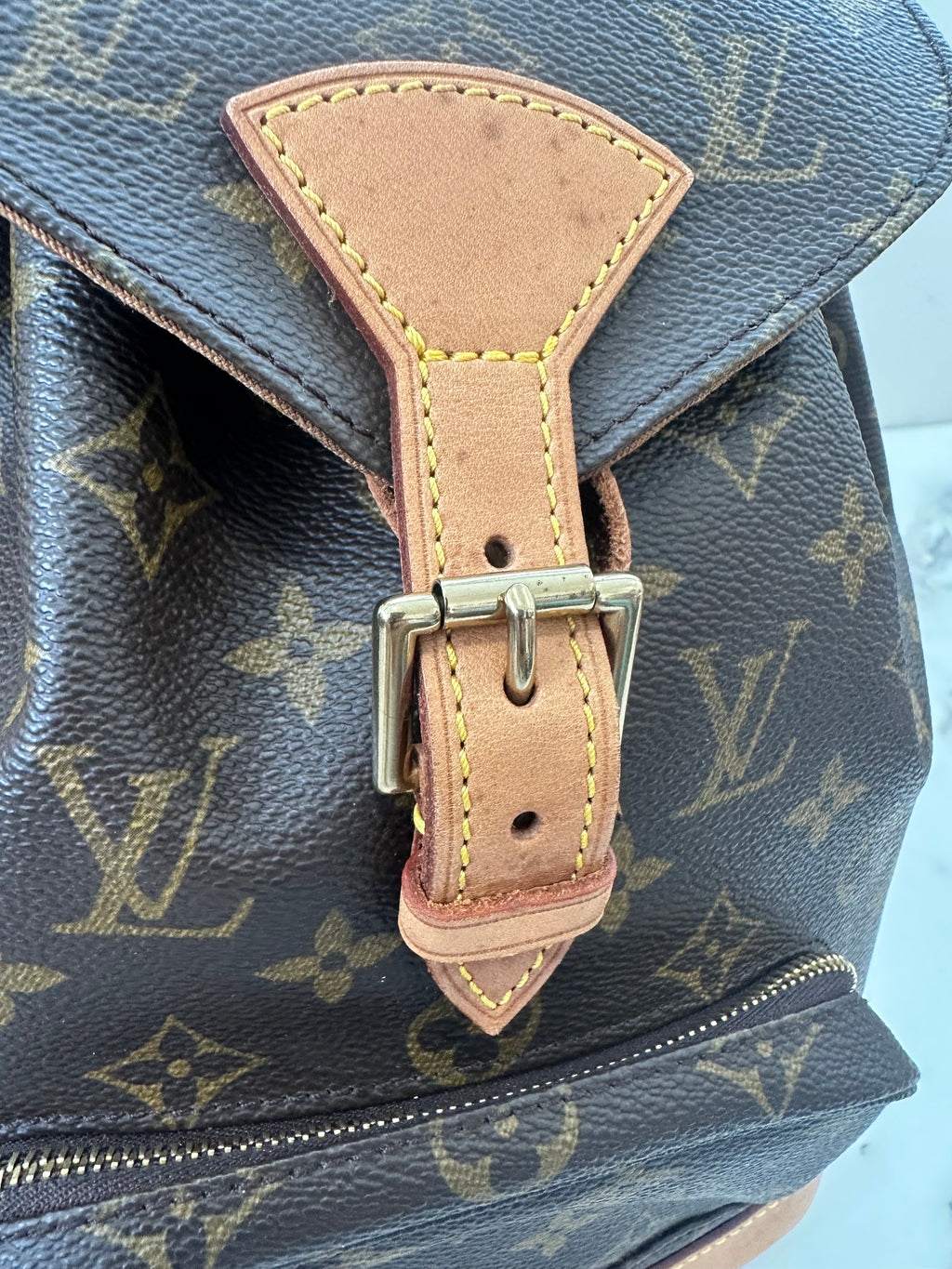 Louis Vuitton Montsouris MM