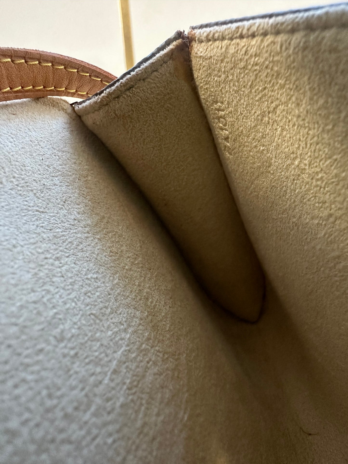 Louis Vuitton Pochette Twin PM