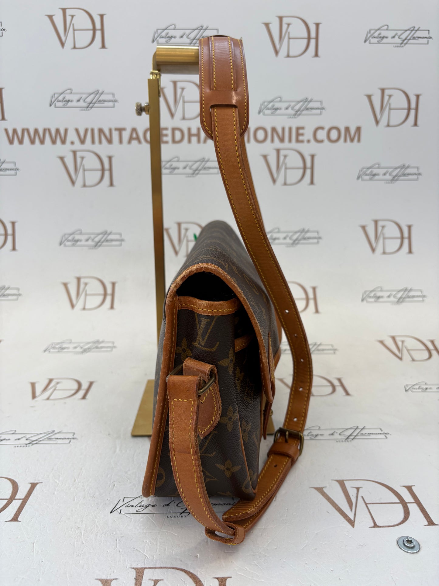 017154 - Louis Vuitton Gibeciere MM