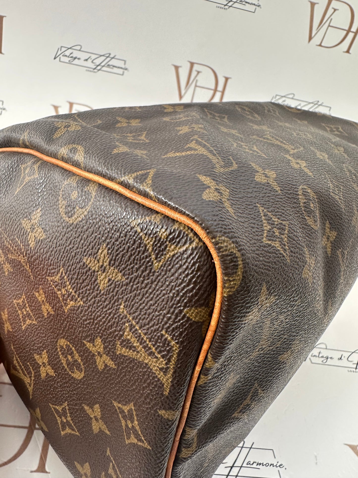 017847 - Louis Vuitton Speedy 30