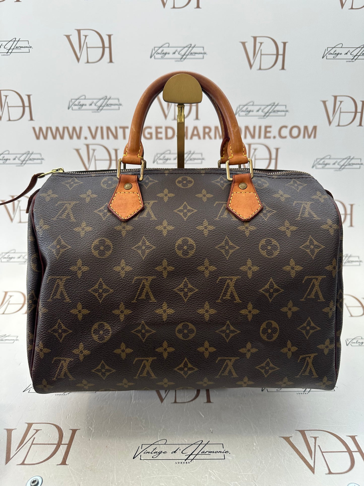 016863 - Louis Vuitton Speedy 30