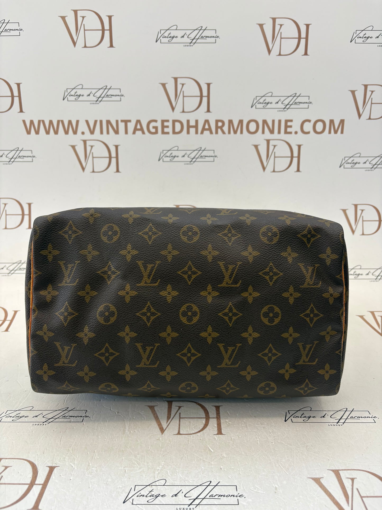 018801 - Louis Vuitton Speedy 30