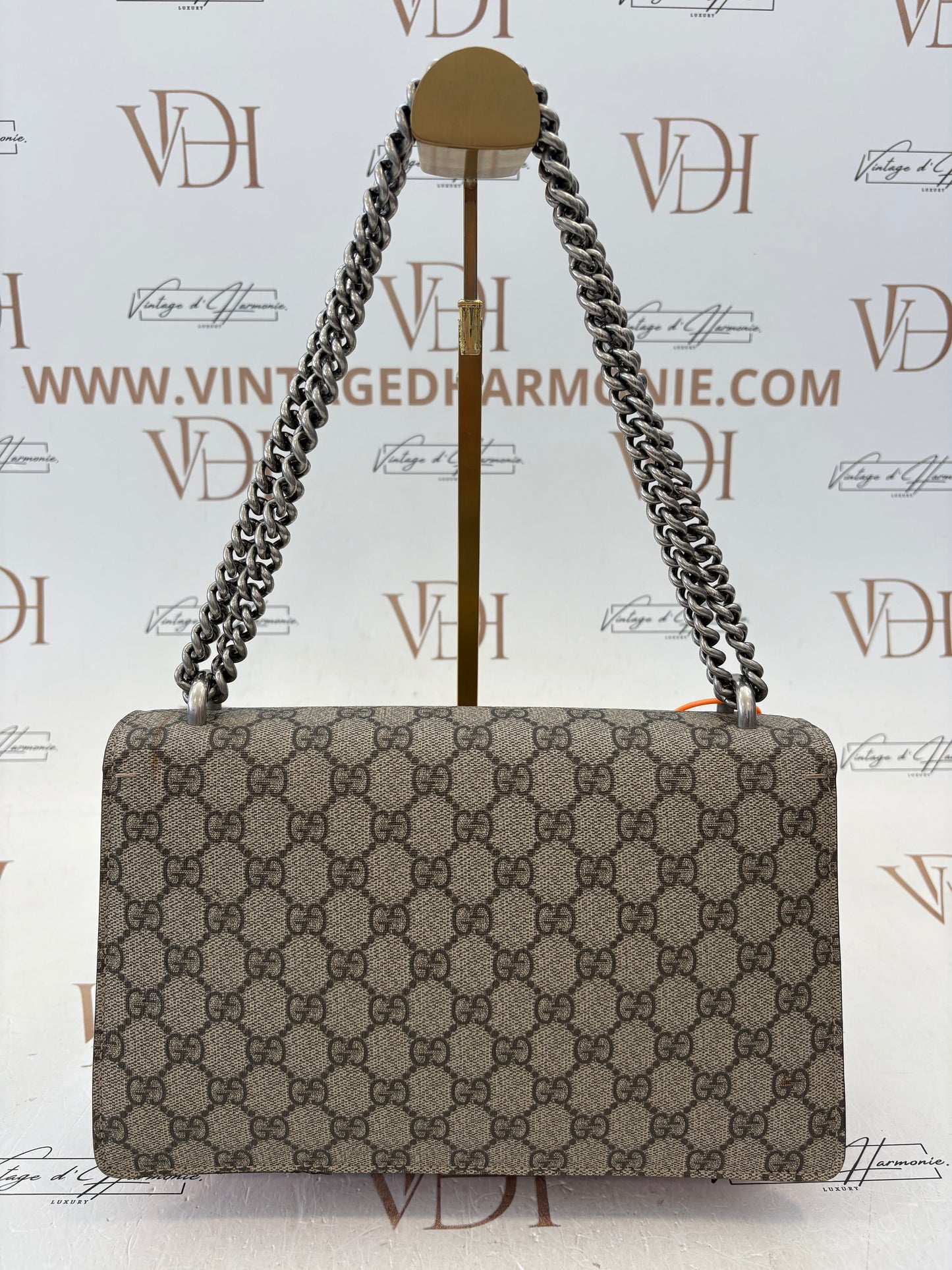 200983 - Gucci Dionysus