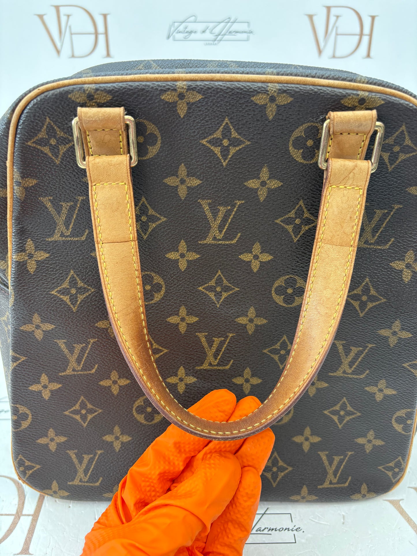 017872 - Louis Vuitton Monogram Excentricite