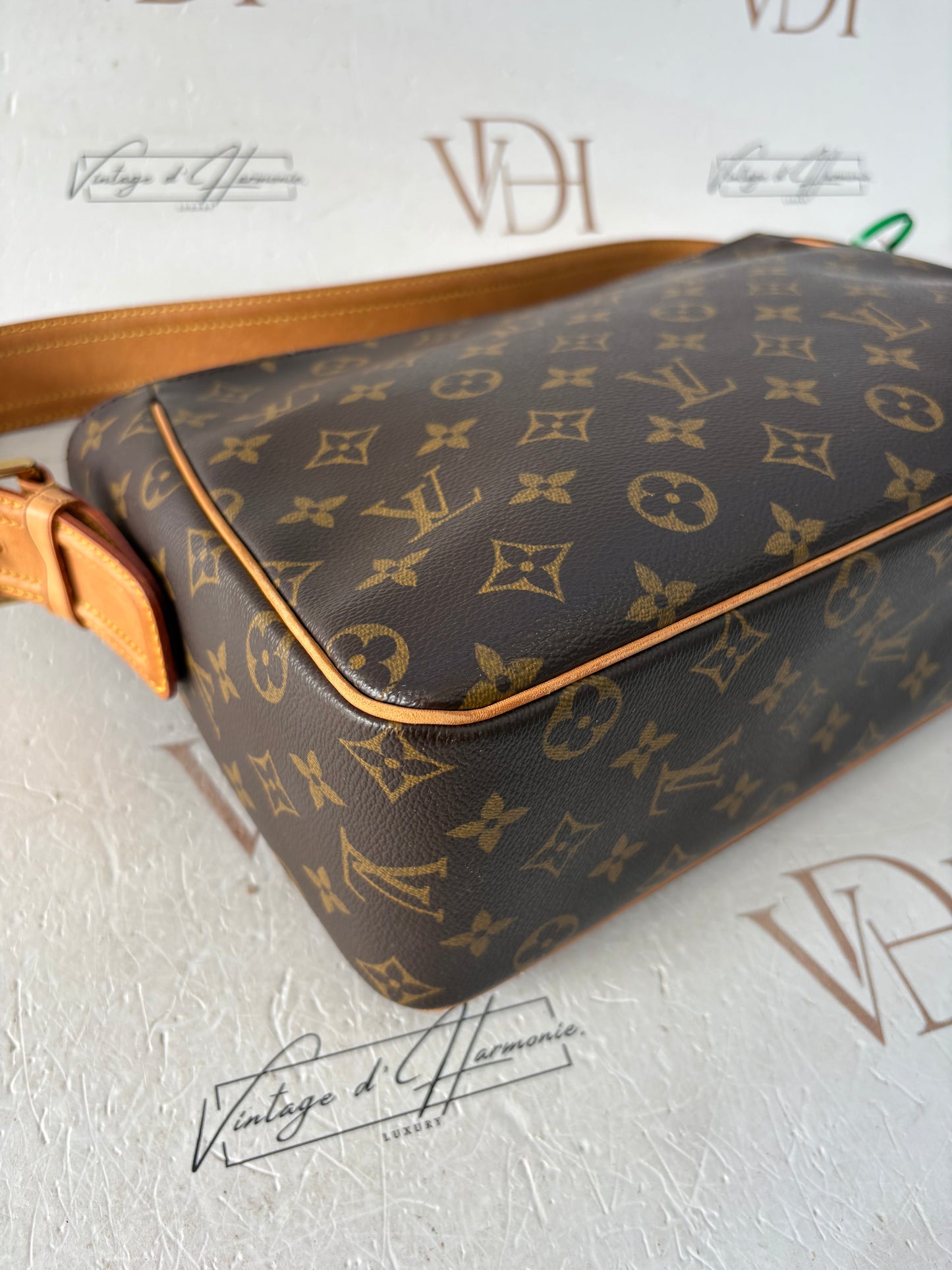017103 - Louis Vuitton Viva Cite GM