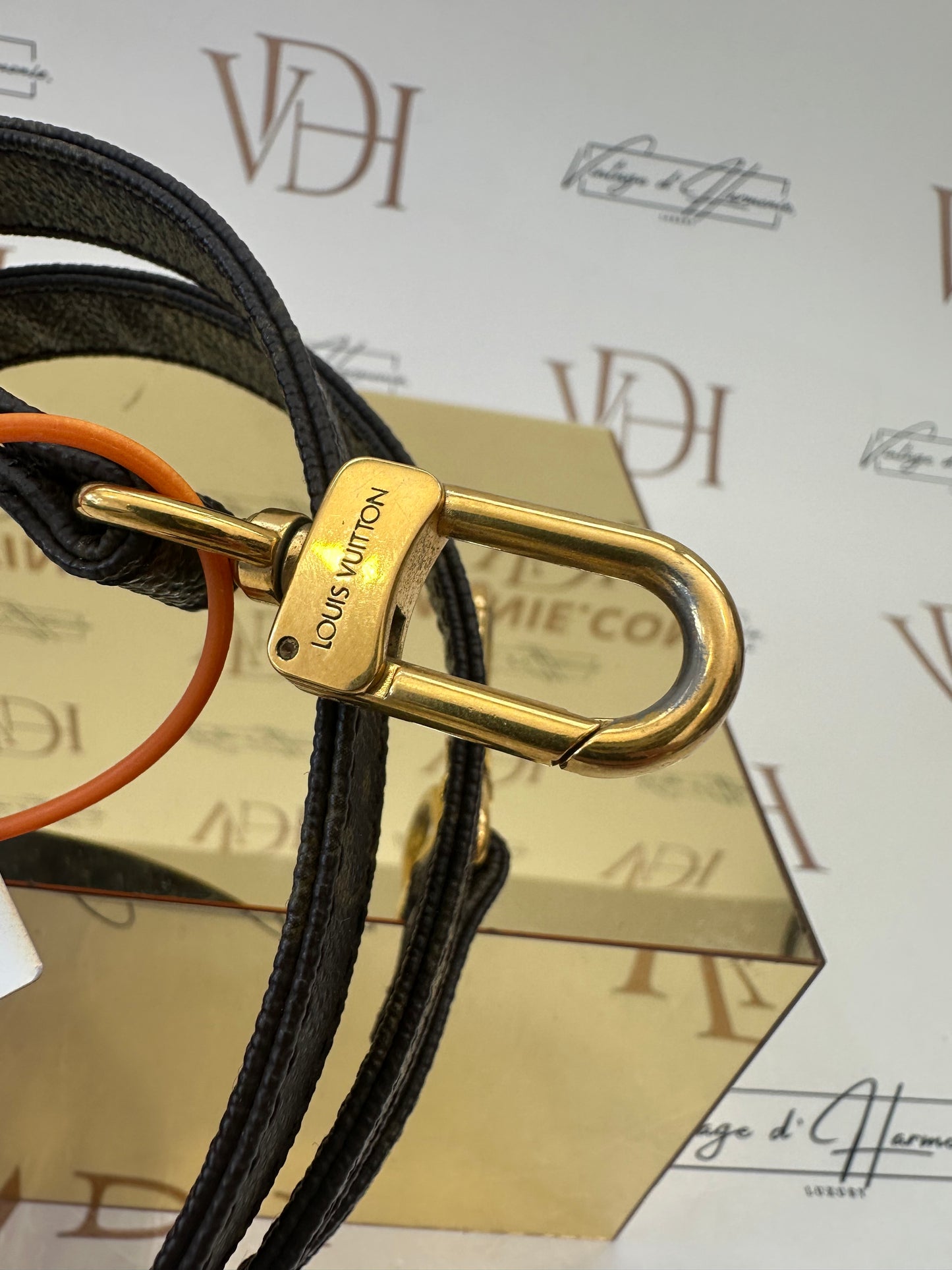 016881 - Louis Vuitton Tracolla
