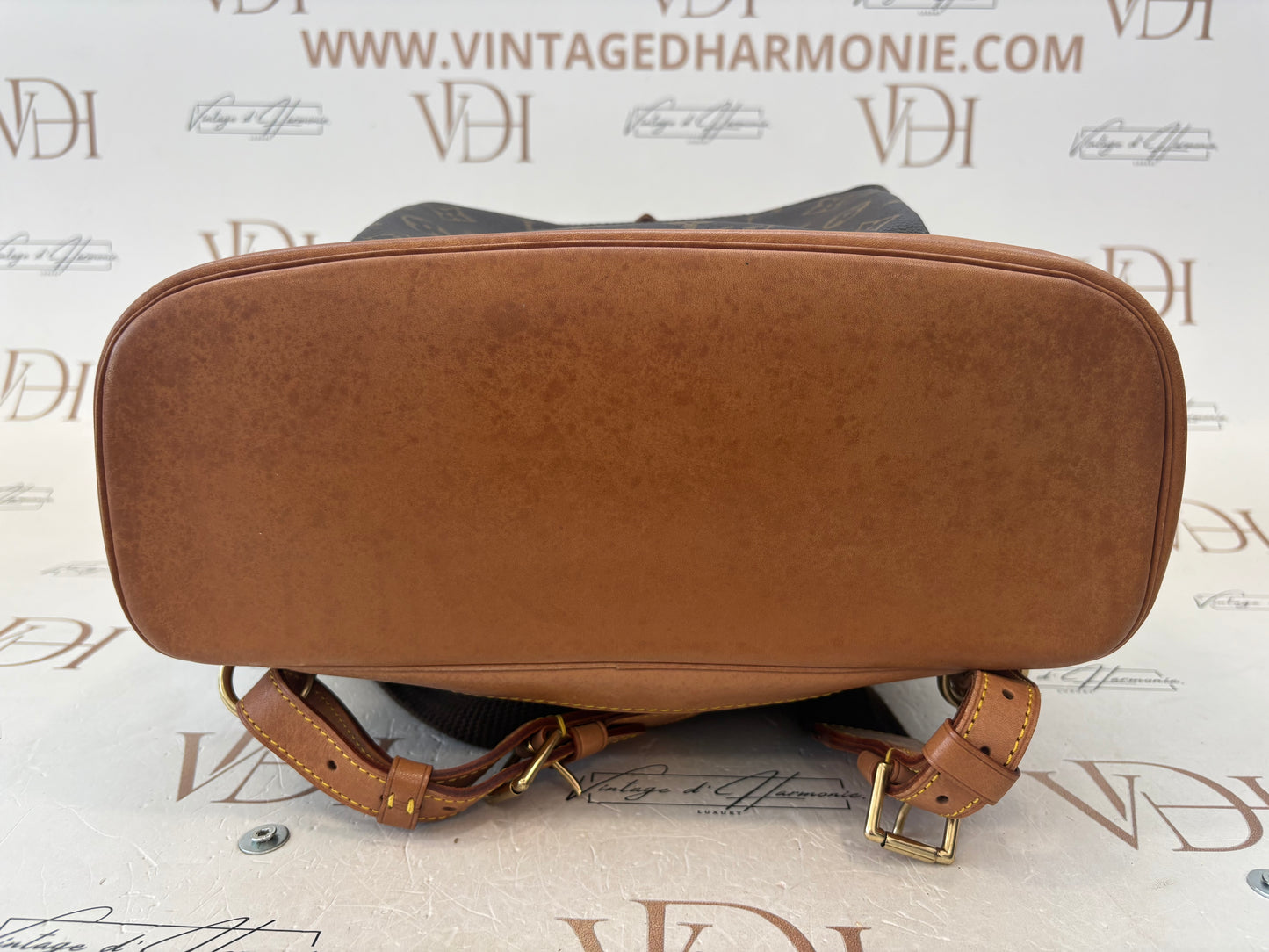 018911 - Louis Vuitton Montsouris GM