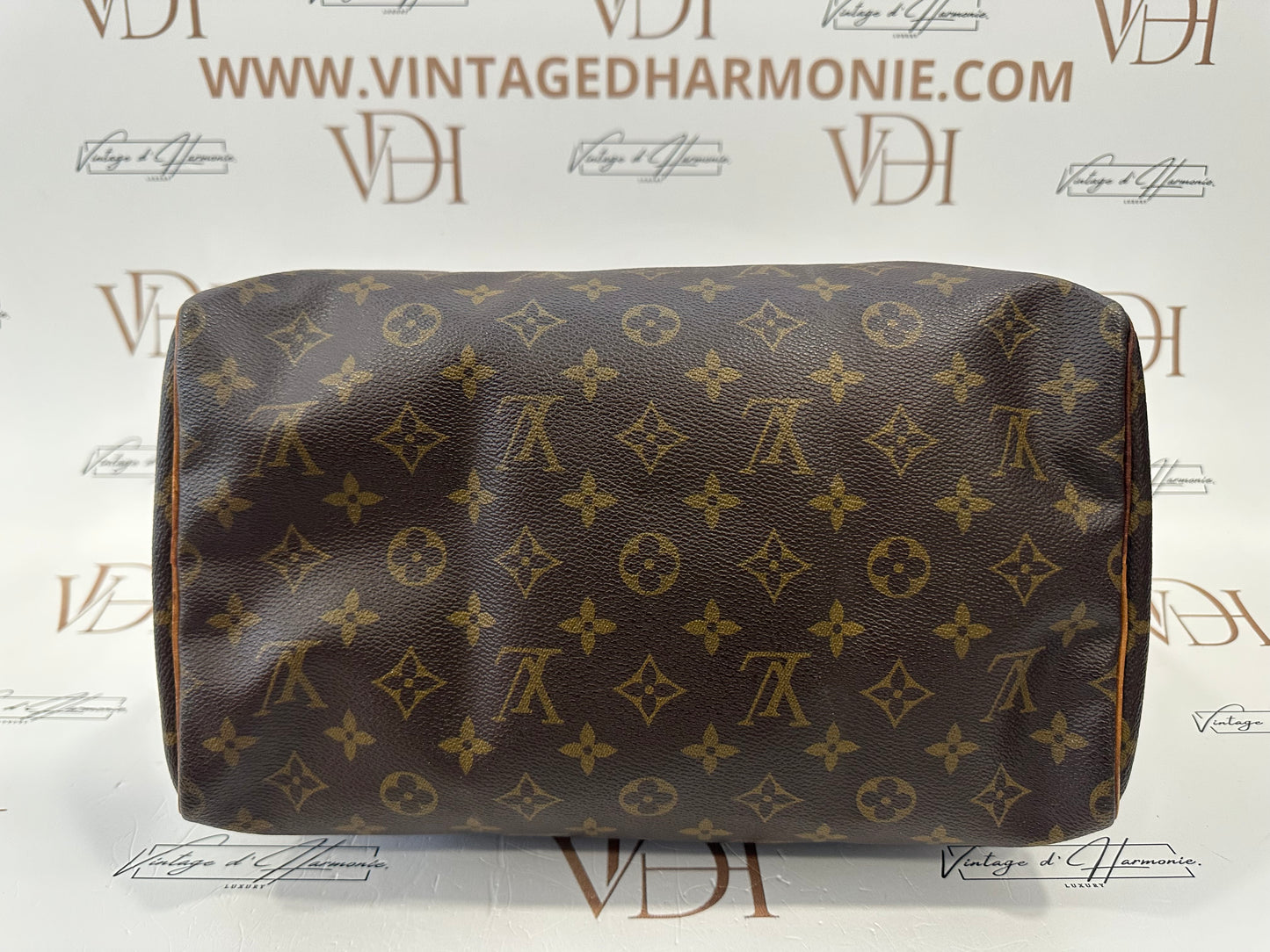 017751 - Louis Vuitton Speedy 30