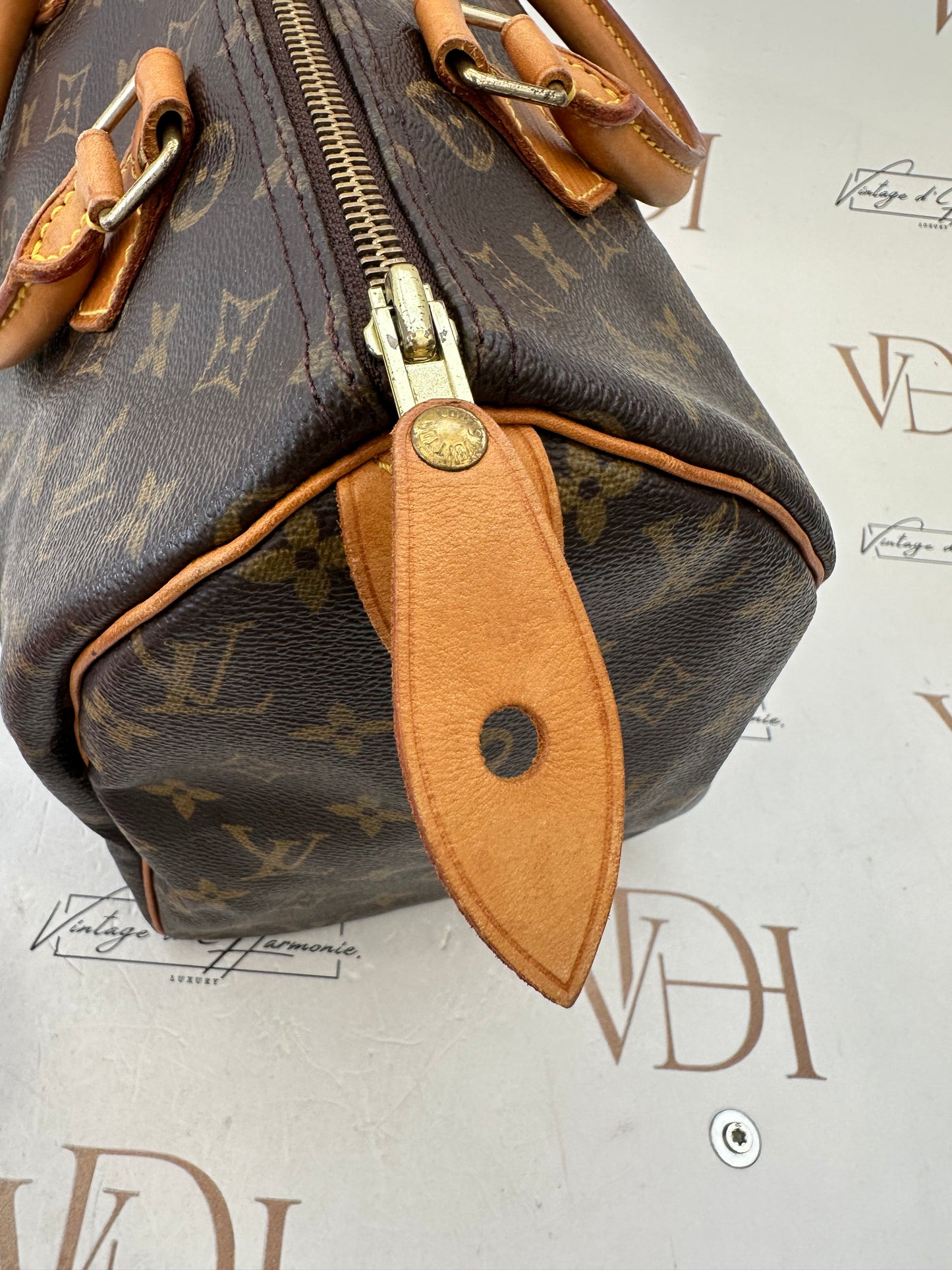 017668 - Louis Vuitton Speedy 30