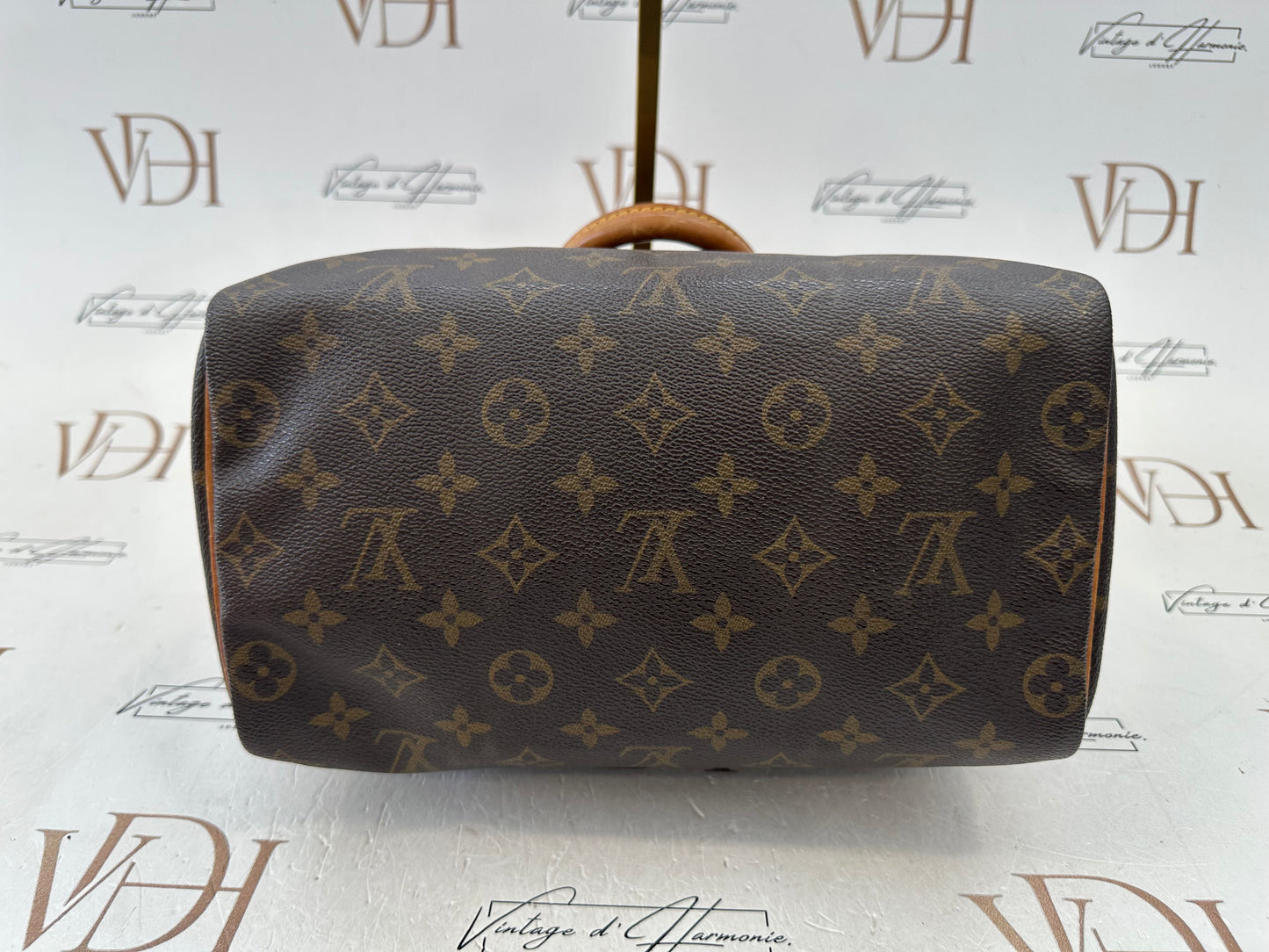 018751 - Louis Vuitton Speedy 25