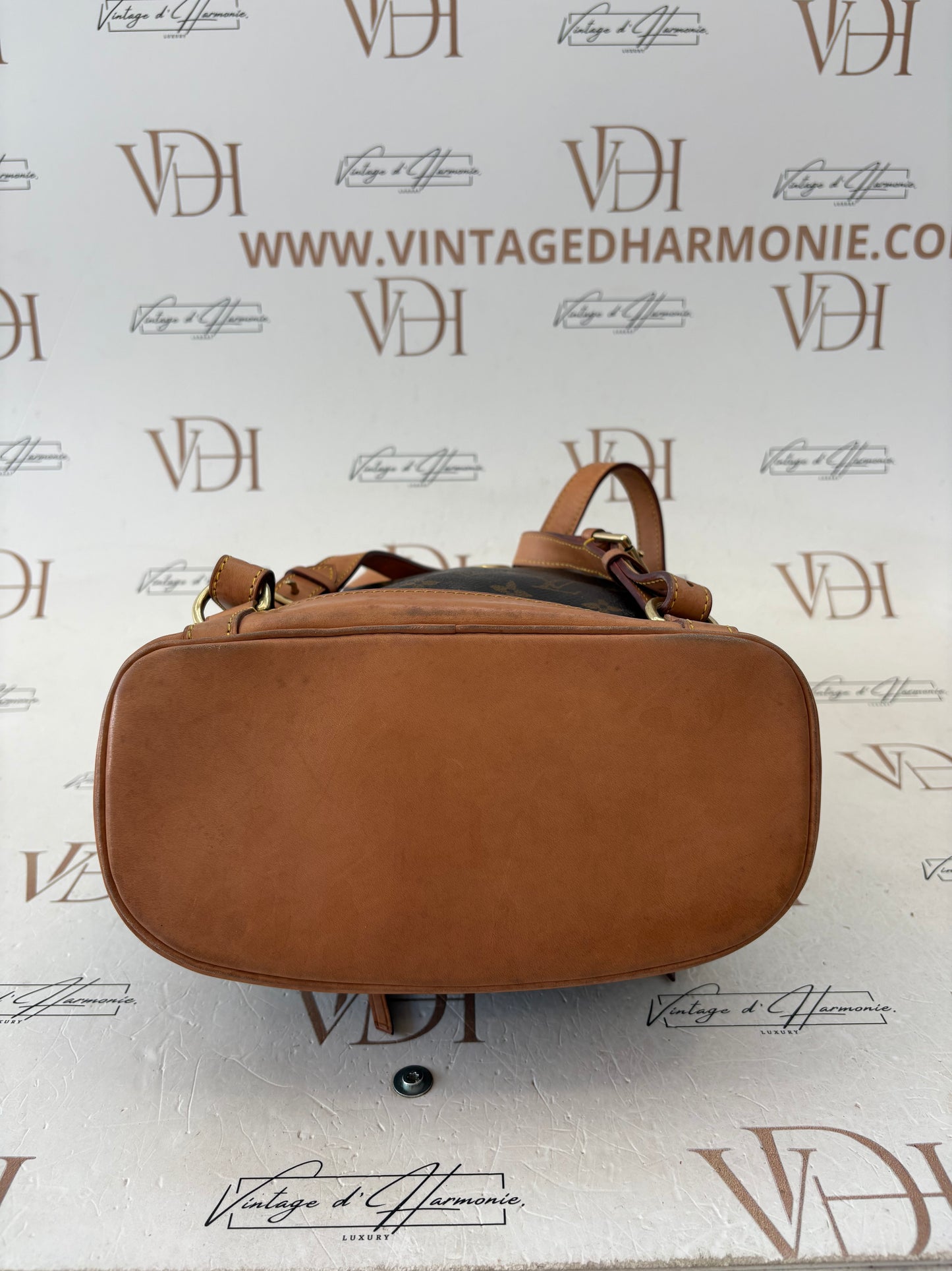 018236 - Louis Vuitton Montsouris