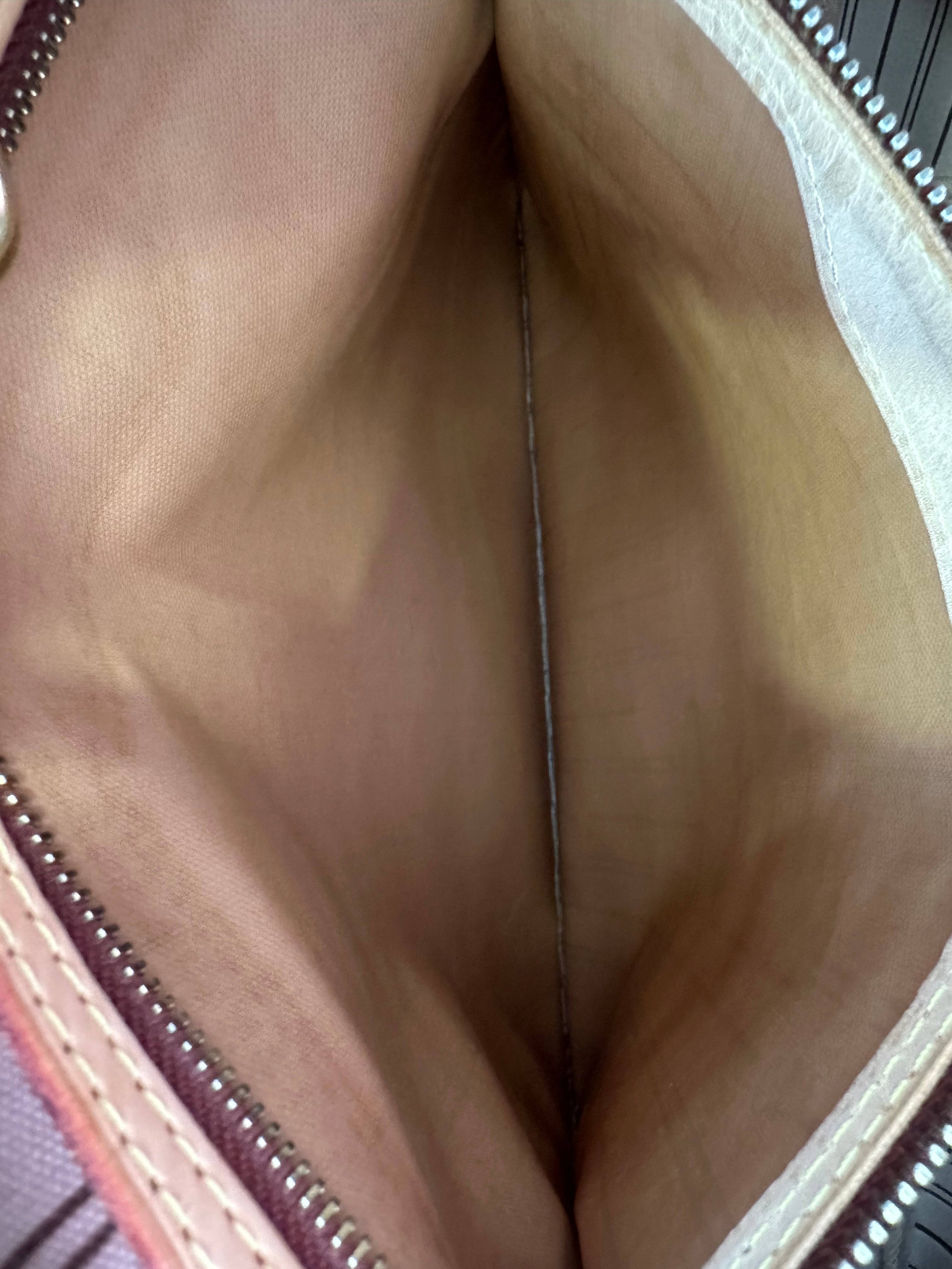 Louis Vuitton Neverfull