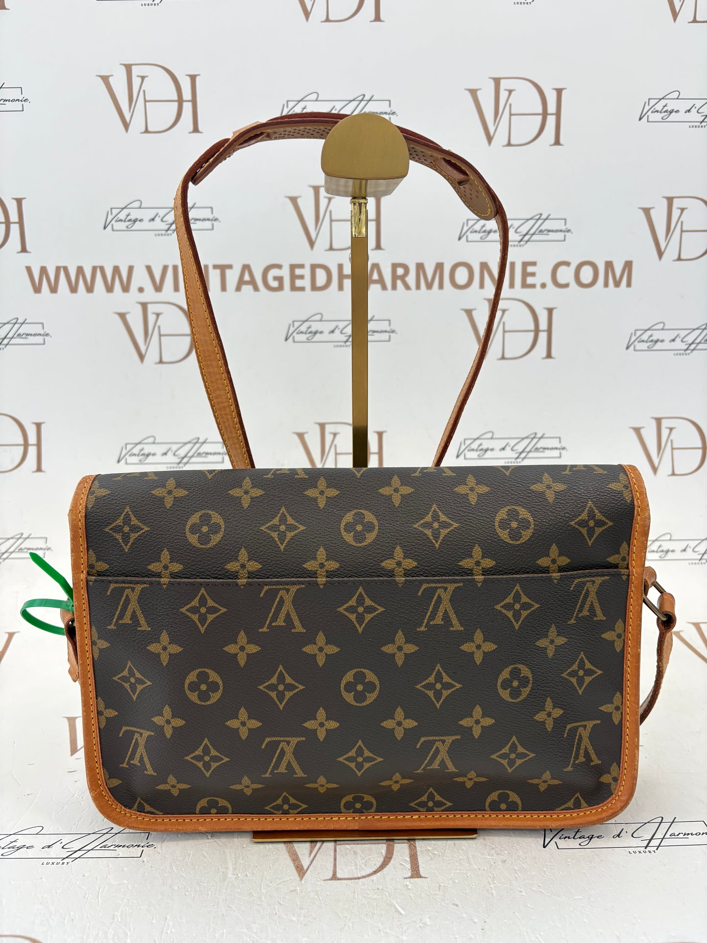 017154 - Louis Vuitton Gibeciere MM