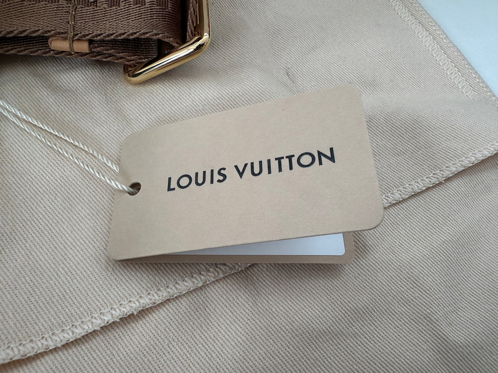 Louis Vuitton Looping